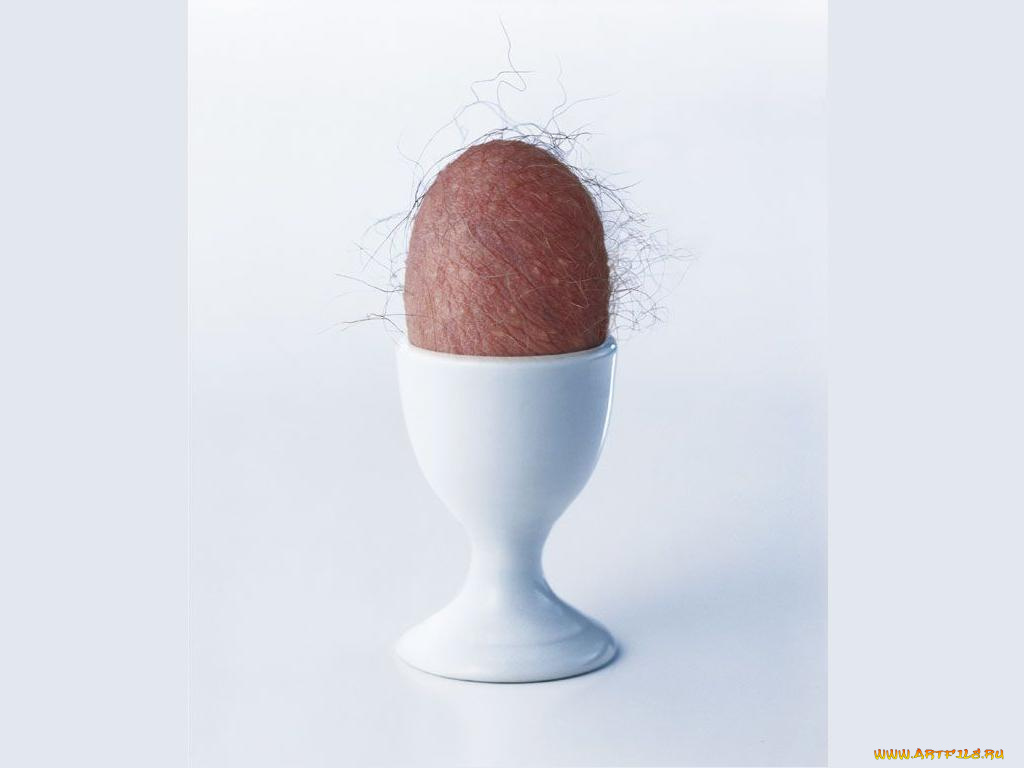 юмор, приколы