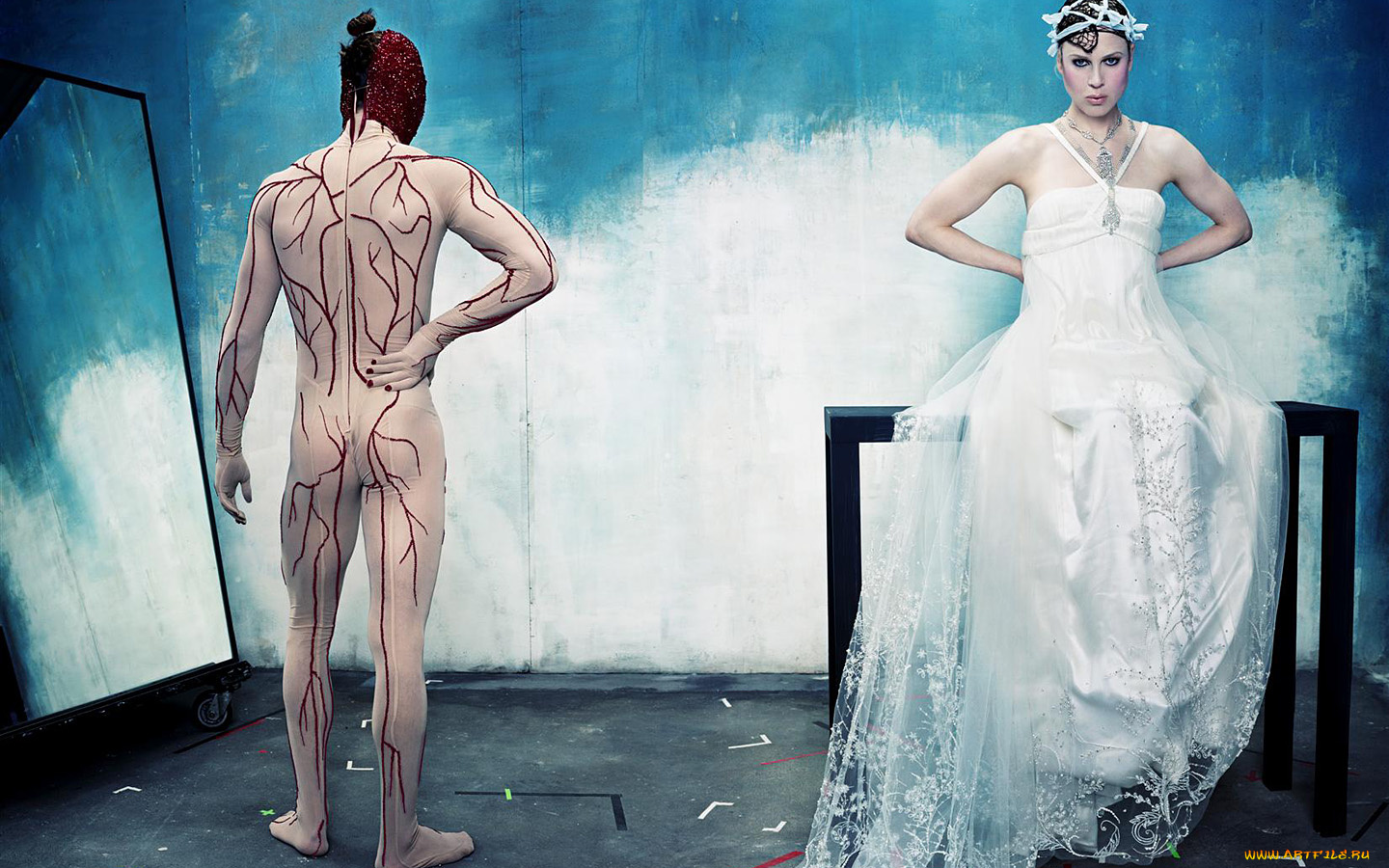 steven, klein, бренды