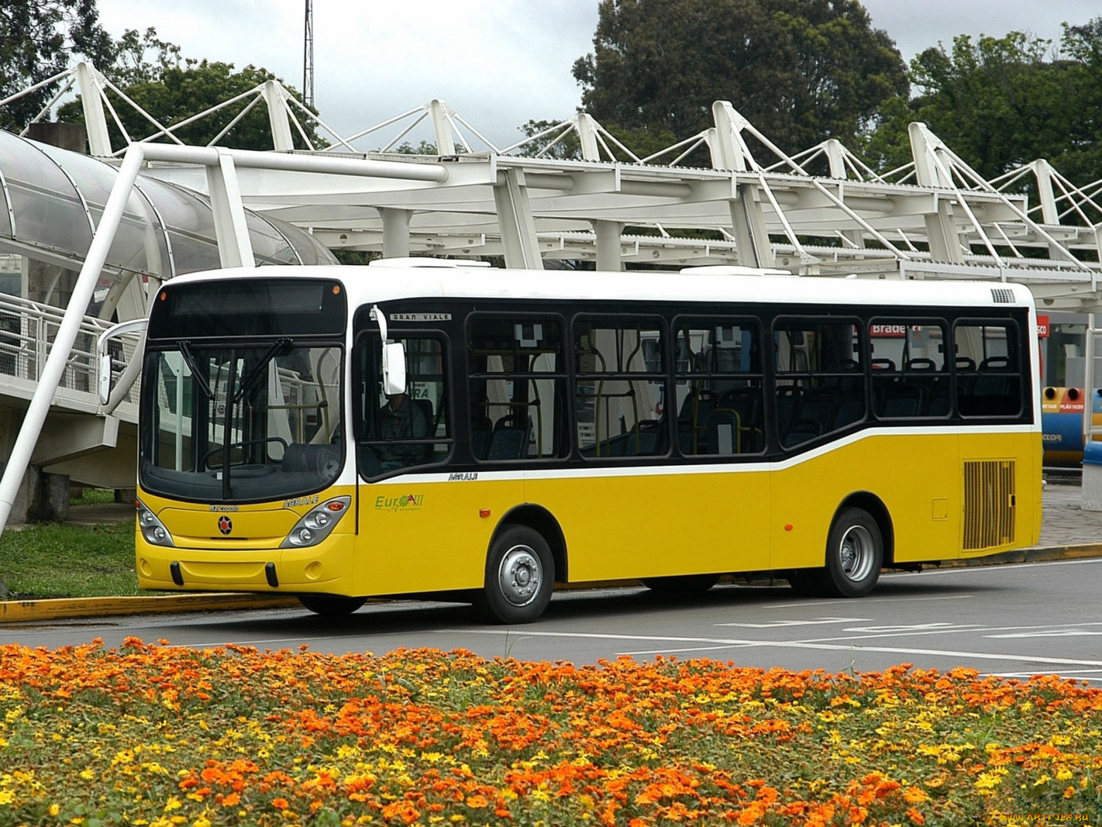 автомобили, автобусы