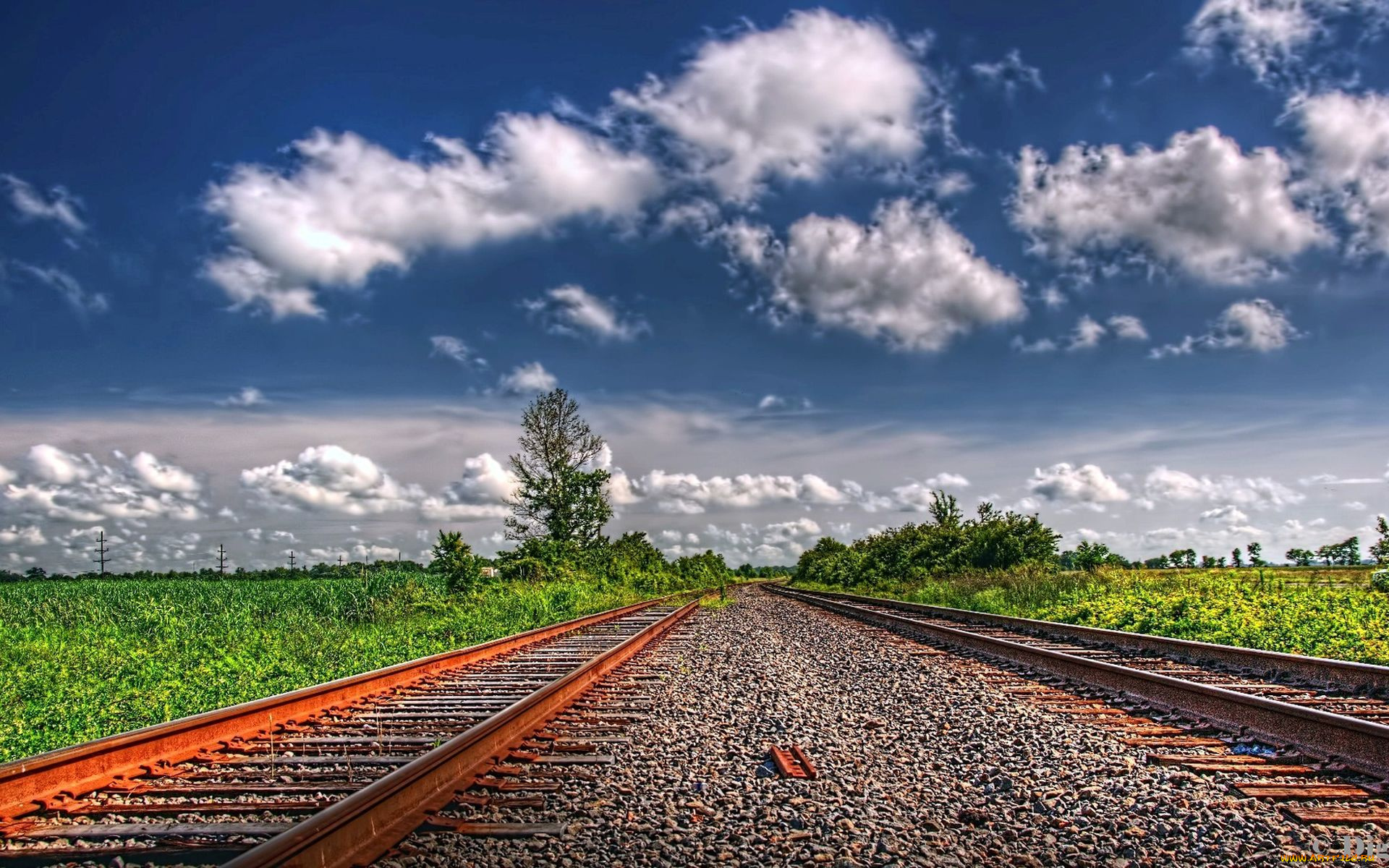 природа, дороги