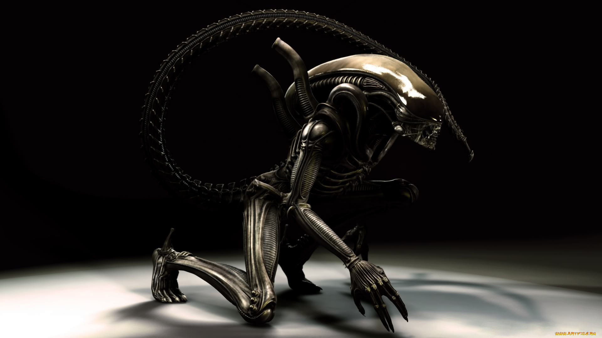 3д, графика, creatures, существа, существо