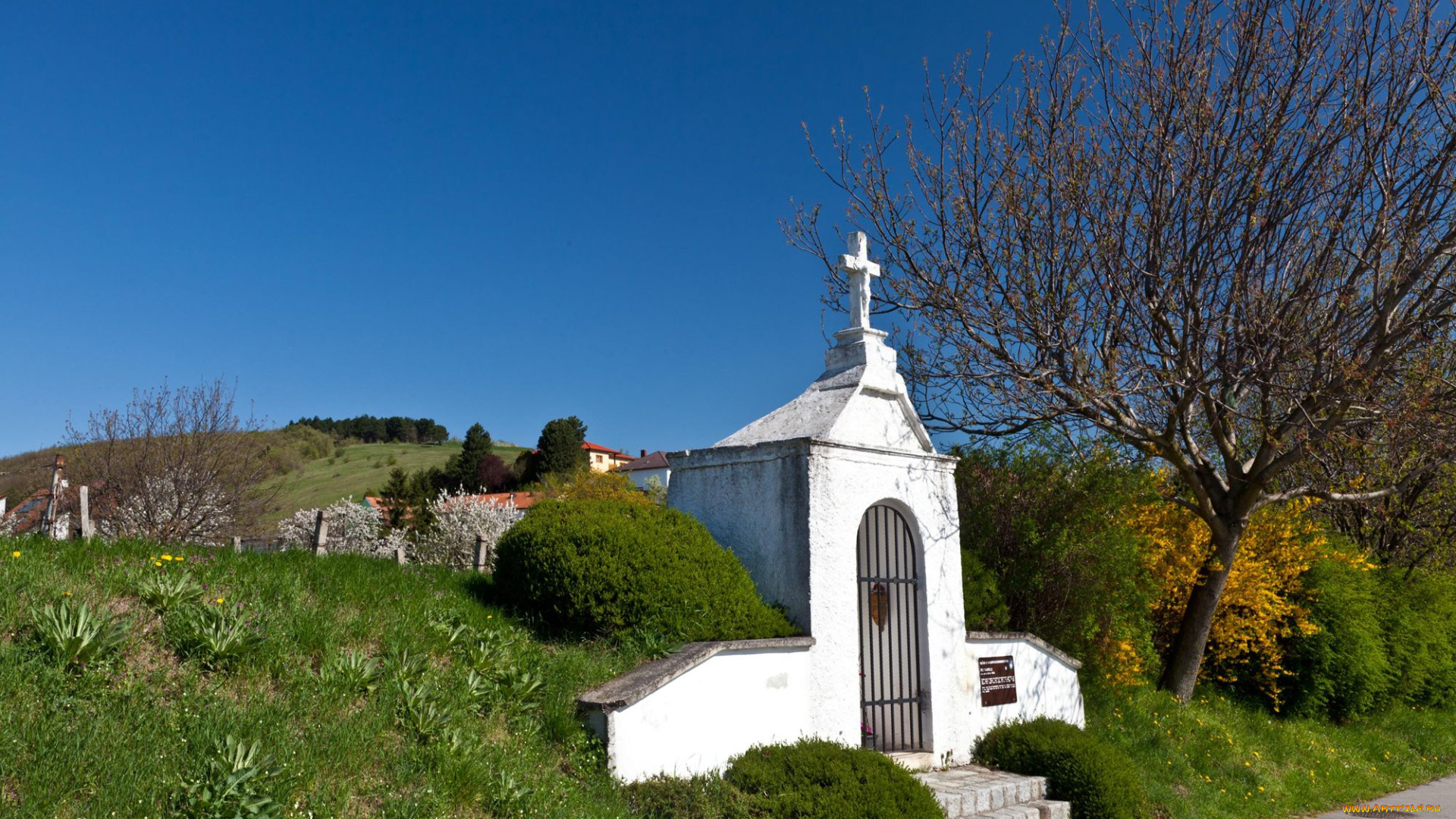 города, католические, соборы, костелы, аббатства, австрия