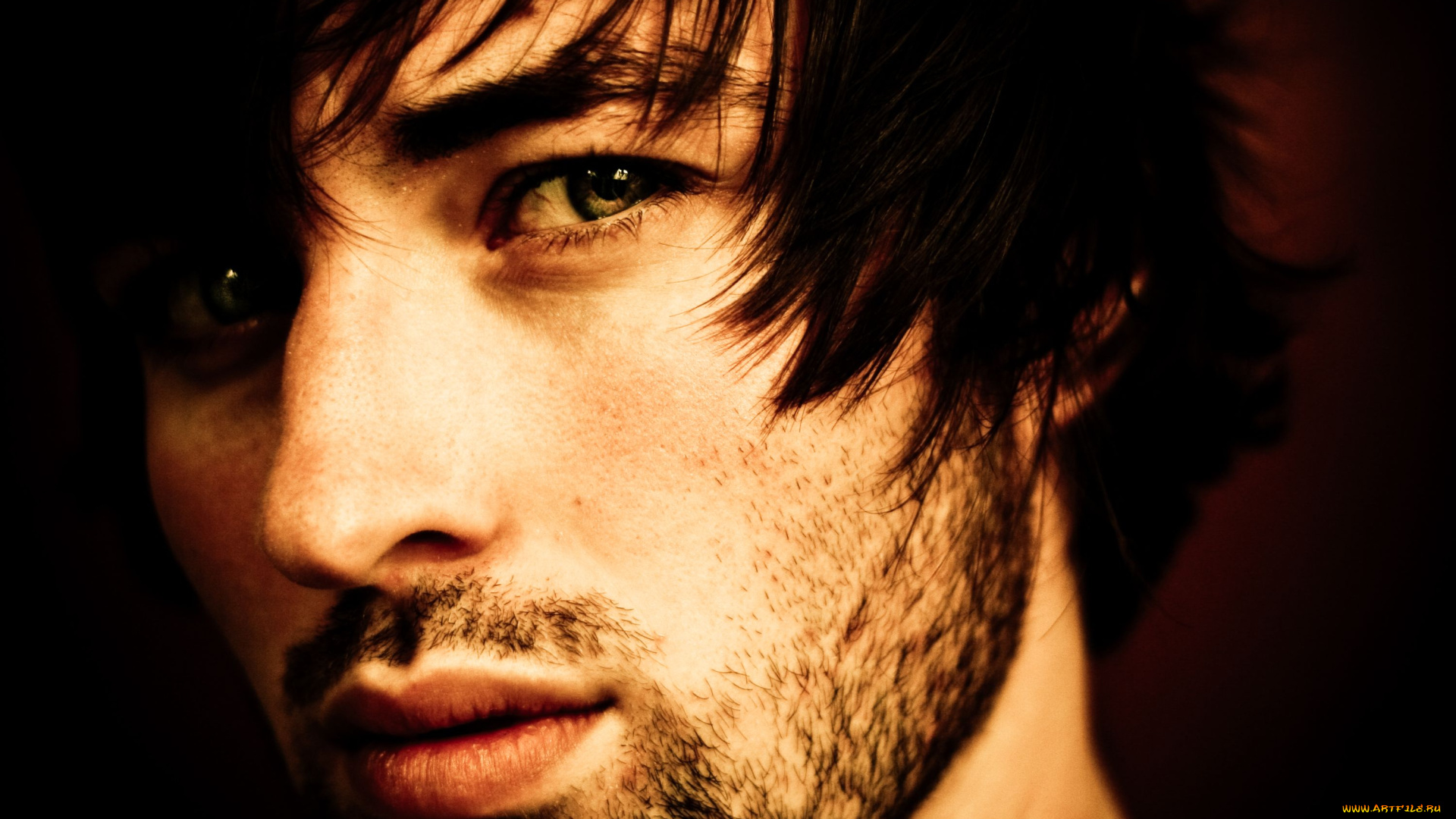 мужчины, unsort, взгляд, борода, лицо