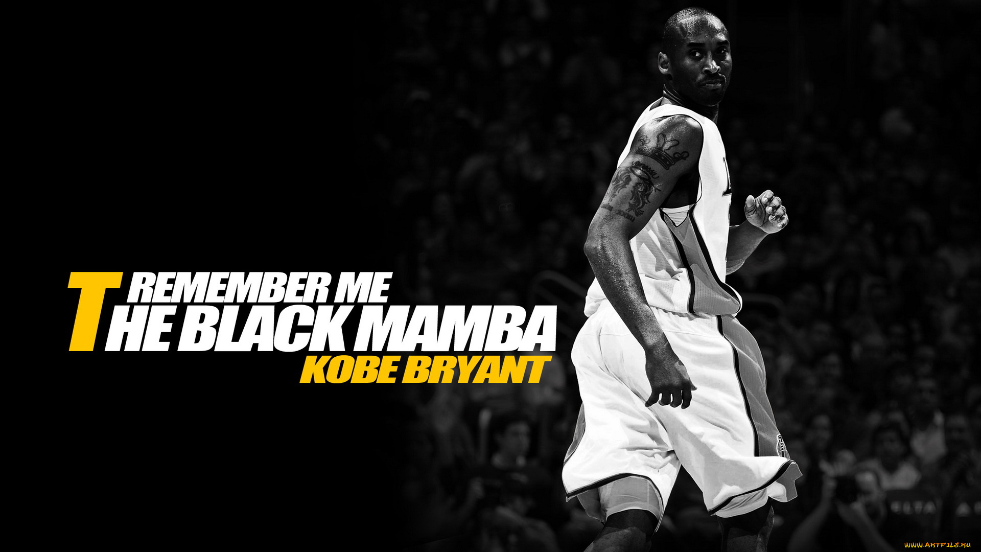 спорт, баскетбол