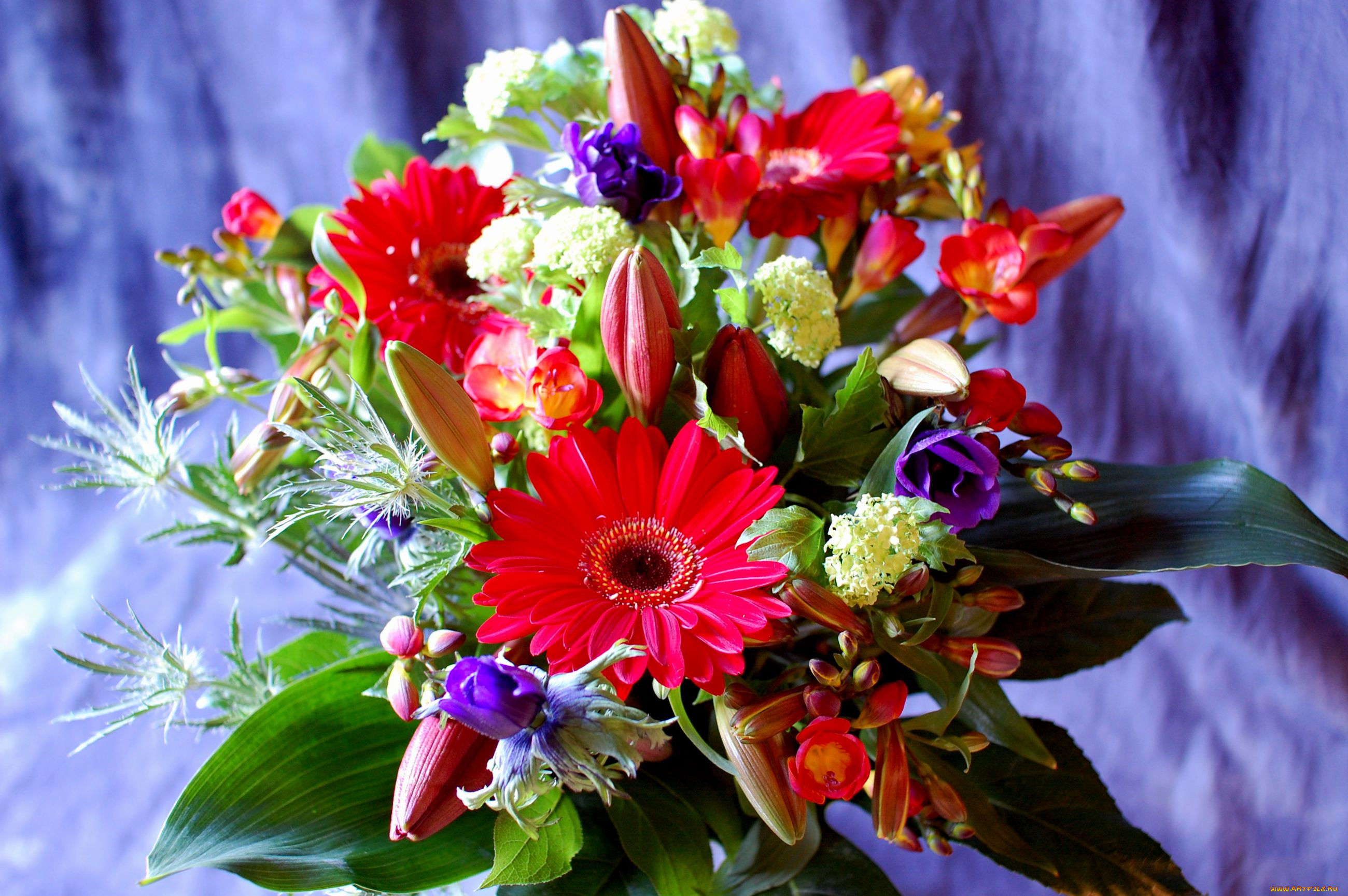 цветы, букеты, композиции, герберы, лилии, анемон, фрезия