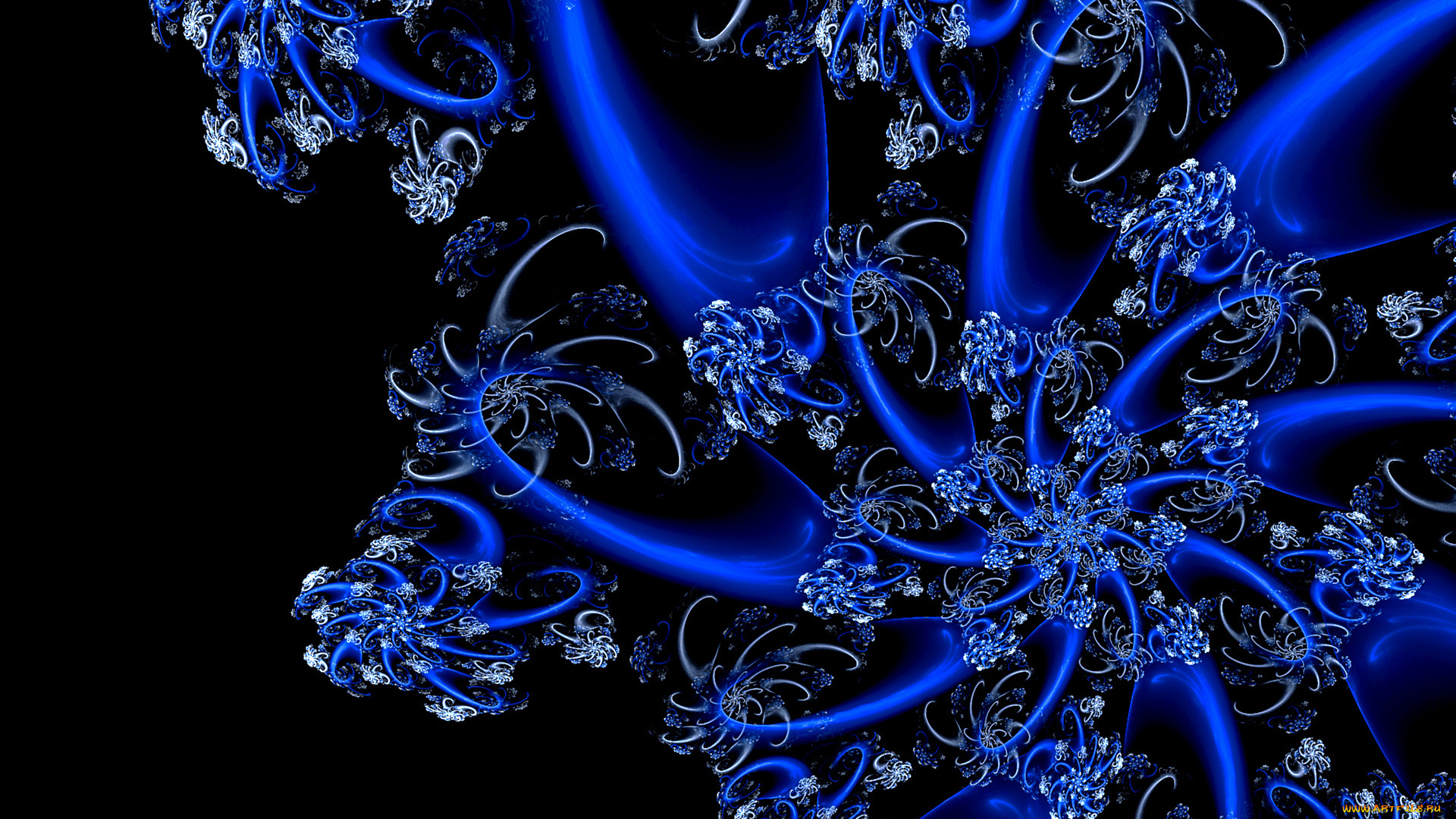 3д, графика, fractal, фракталы, фон, цвета, узор