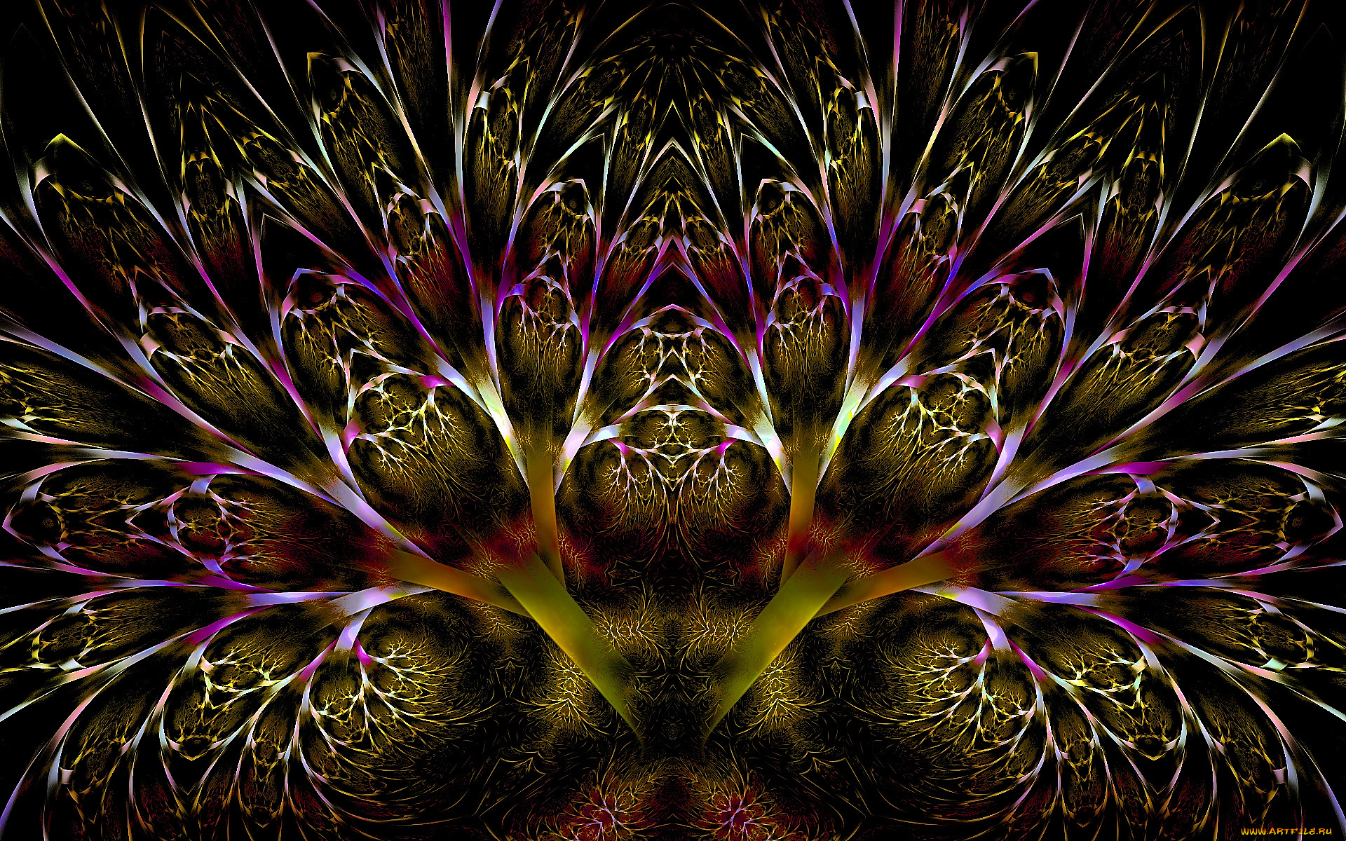 3д, графика, fractal, фракталы, фон, цвета, узор