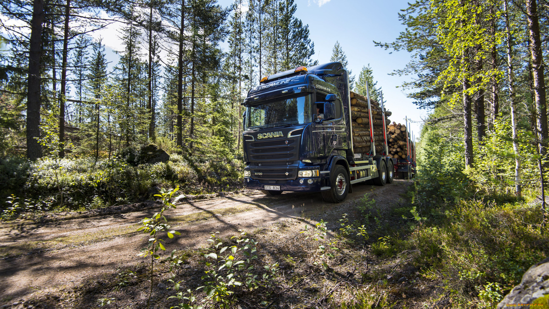 автомобили, scania, лесоповал, синий, скания