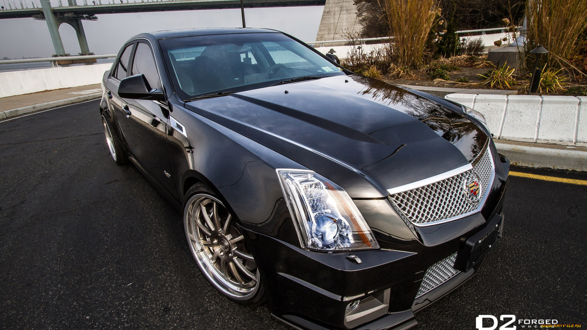 d2forged-cadillac-cts-v-fms, автомобили, cadillac