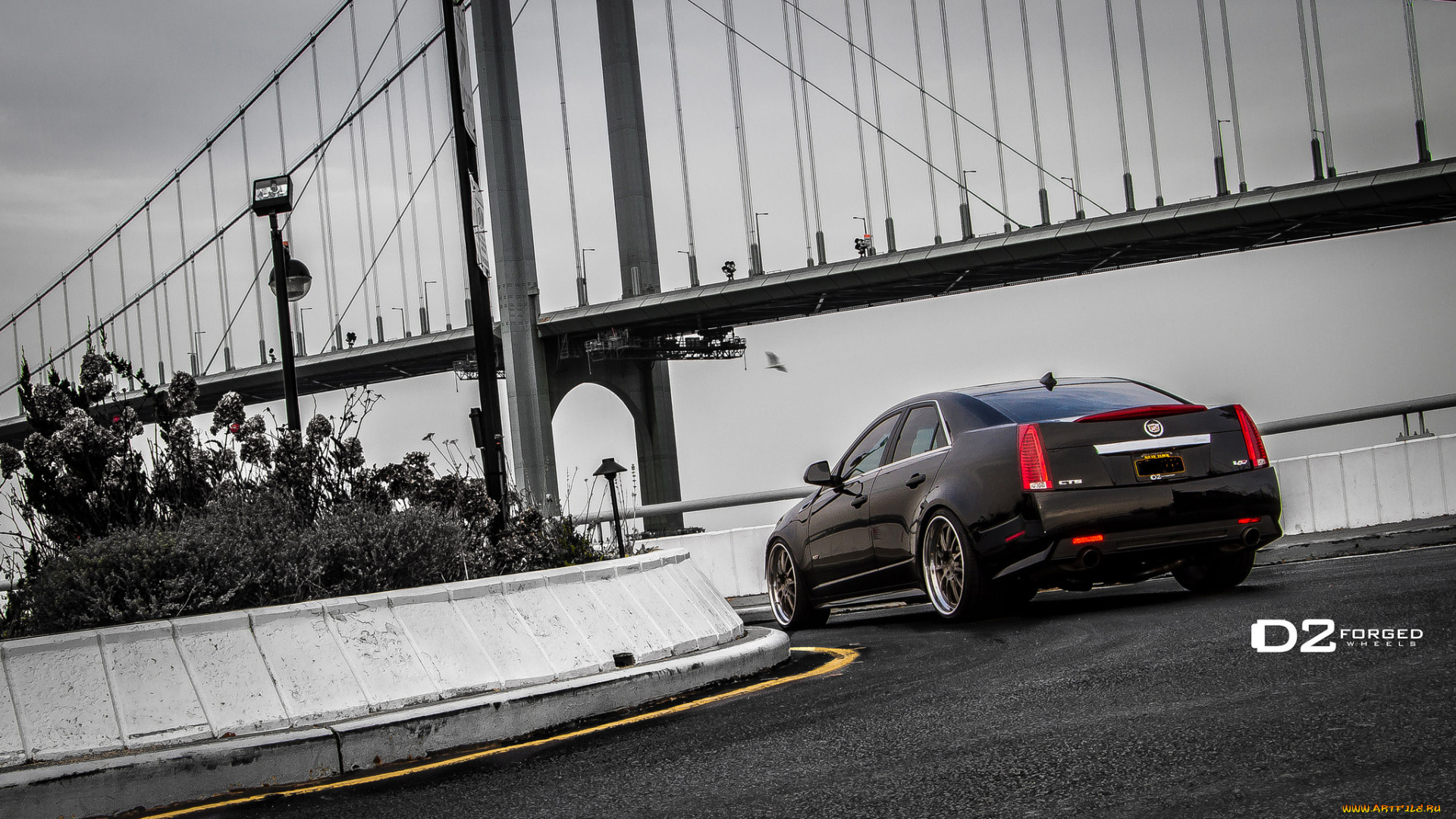 d2forged-cadillac-cts-v-fms, автомобили, cadillac