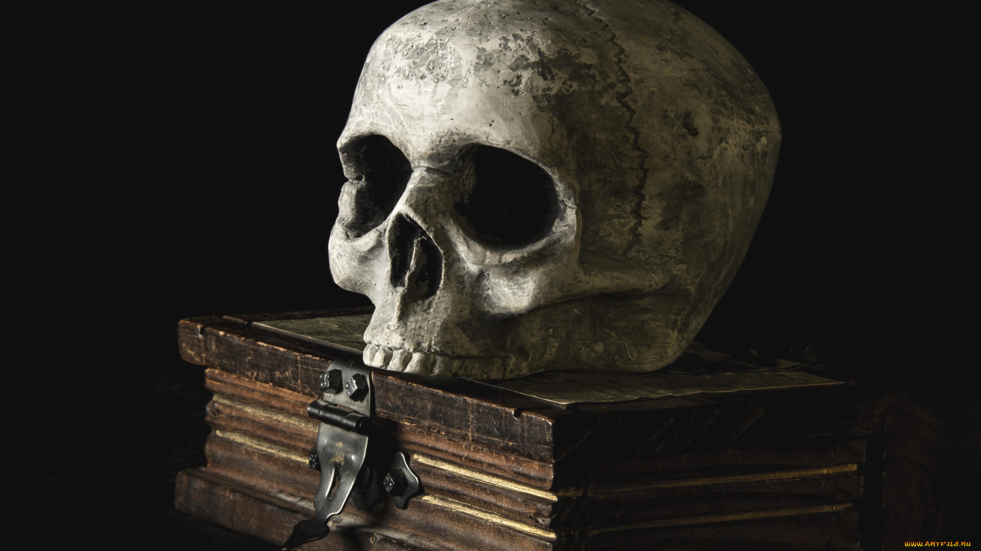 разное, кости, , рентген, череп