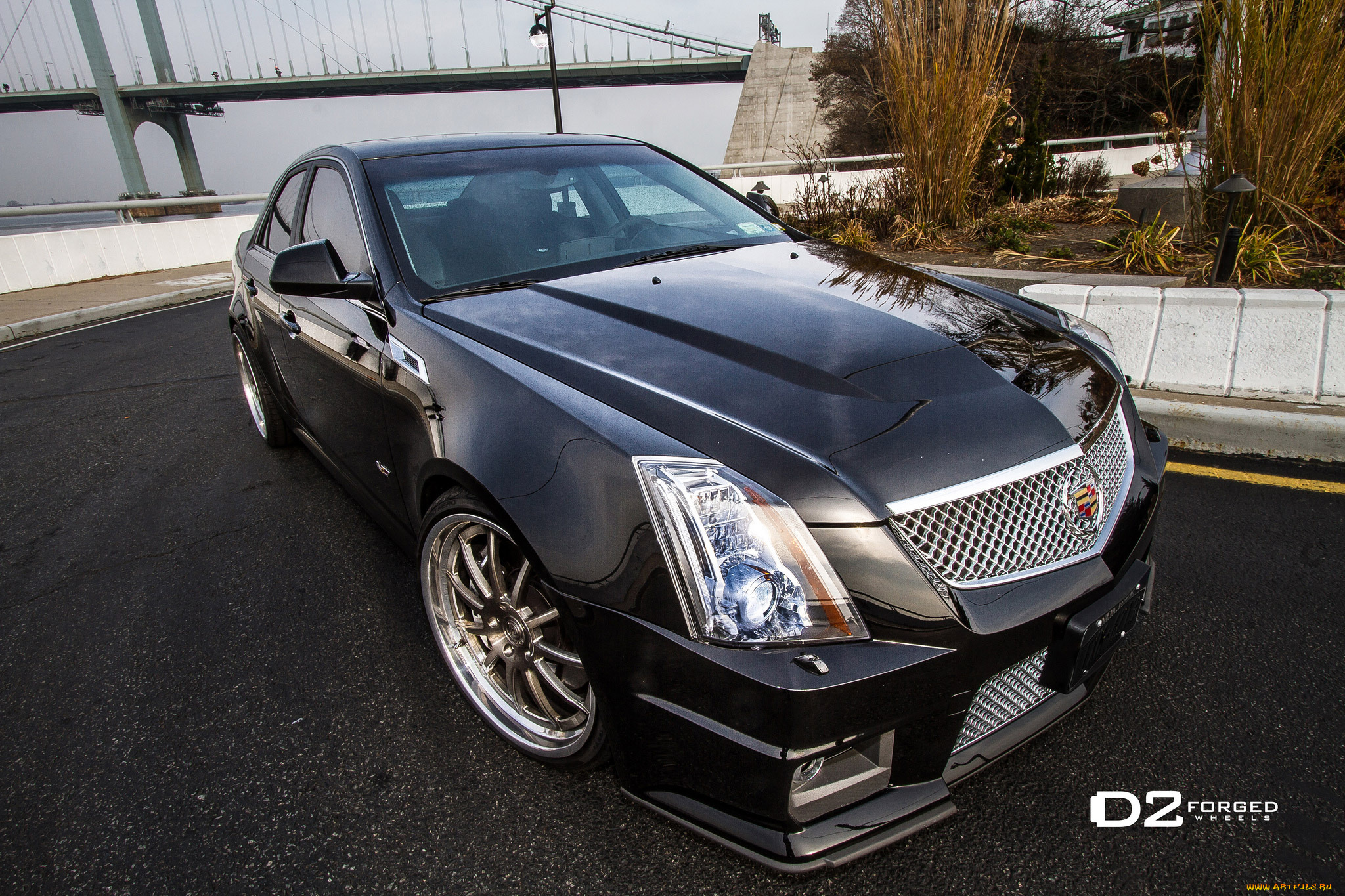 d2forged-cadillac-cts-v-fms, автомобили, cadillac