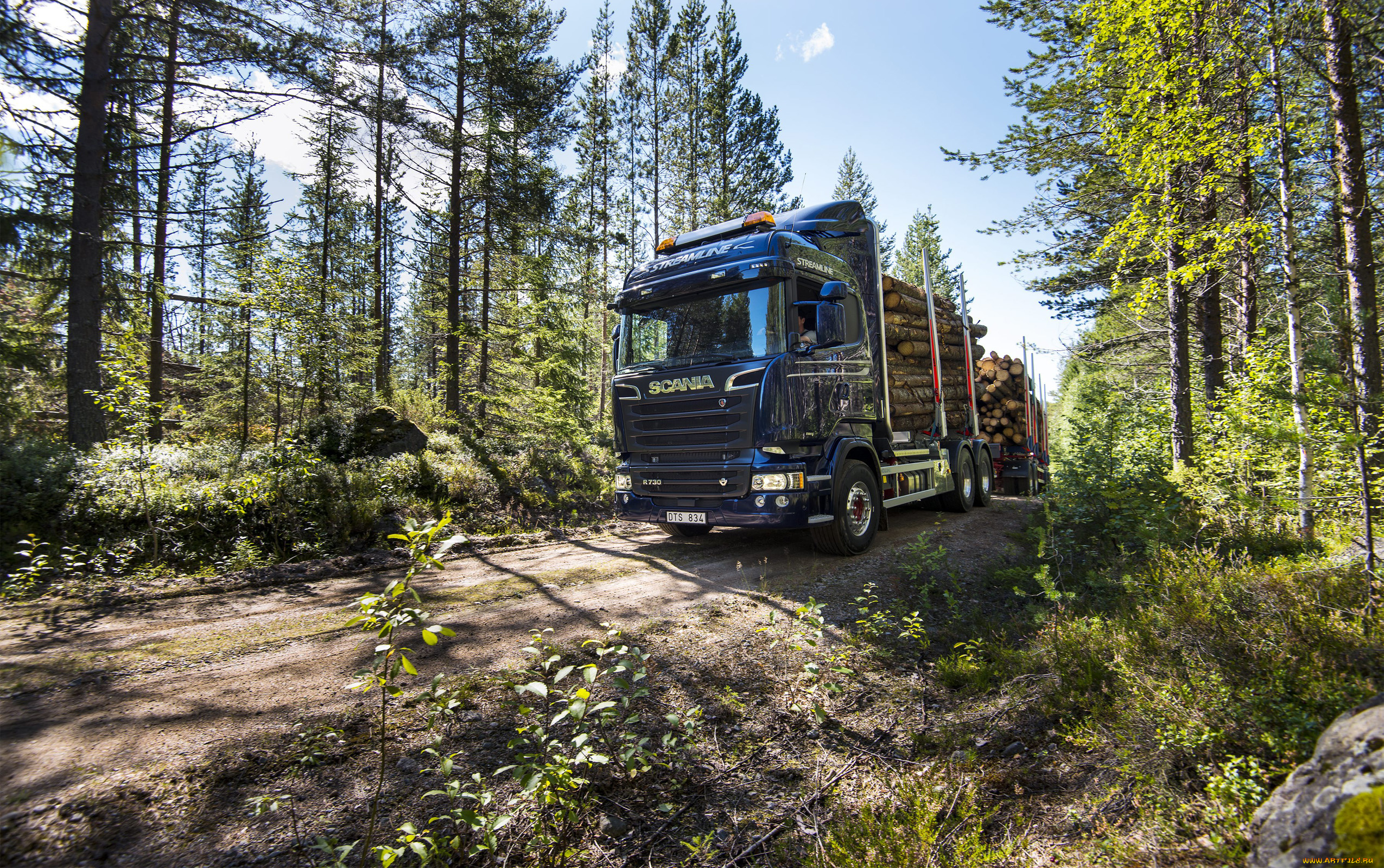 автомобили, scania, лесоповал, синий, скания