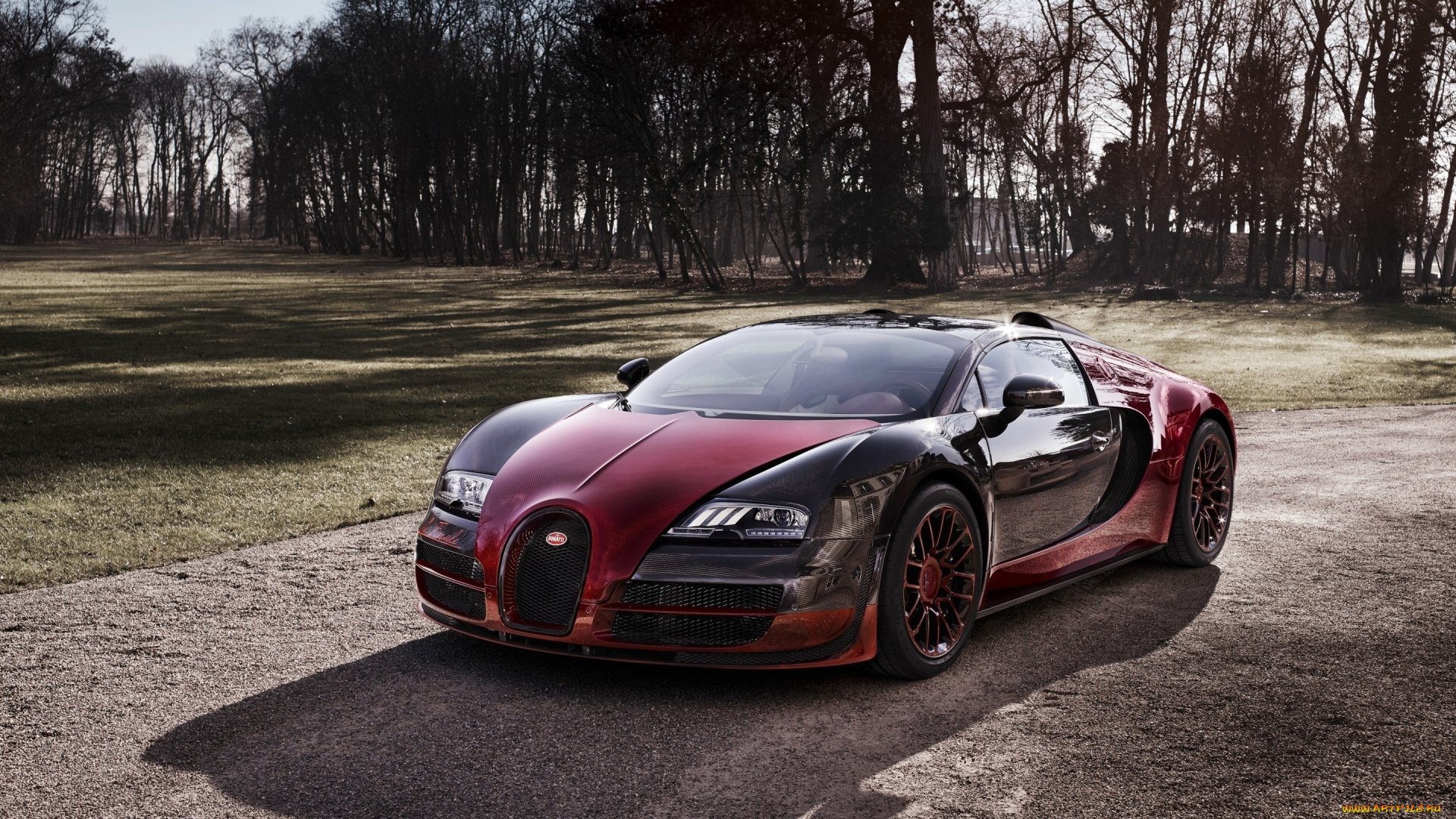 бугатти, вейрон, 2015, автомобили, bugatti, бугатти, вейрон, 2015