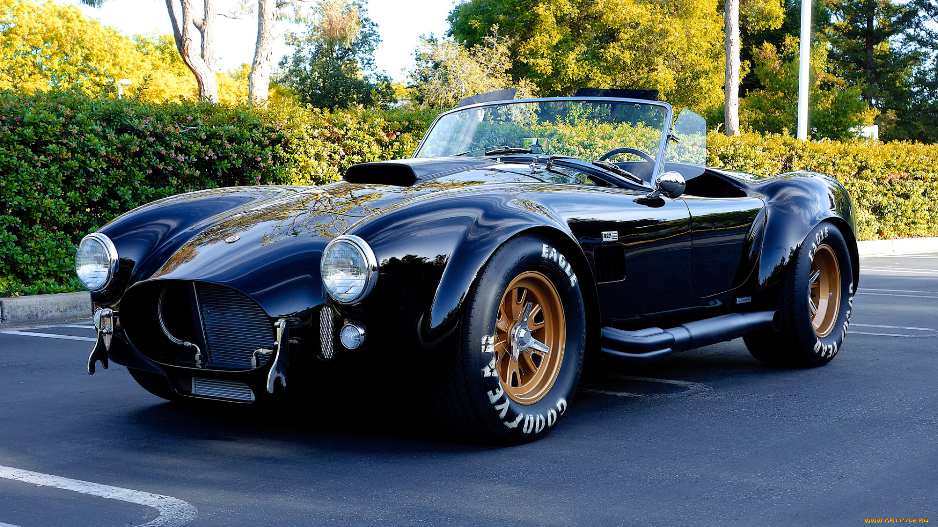 cobra, автомобили, ac, cobra, shelby, спорткар