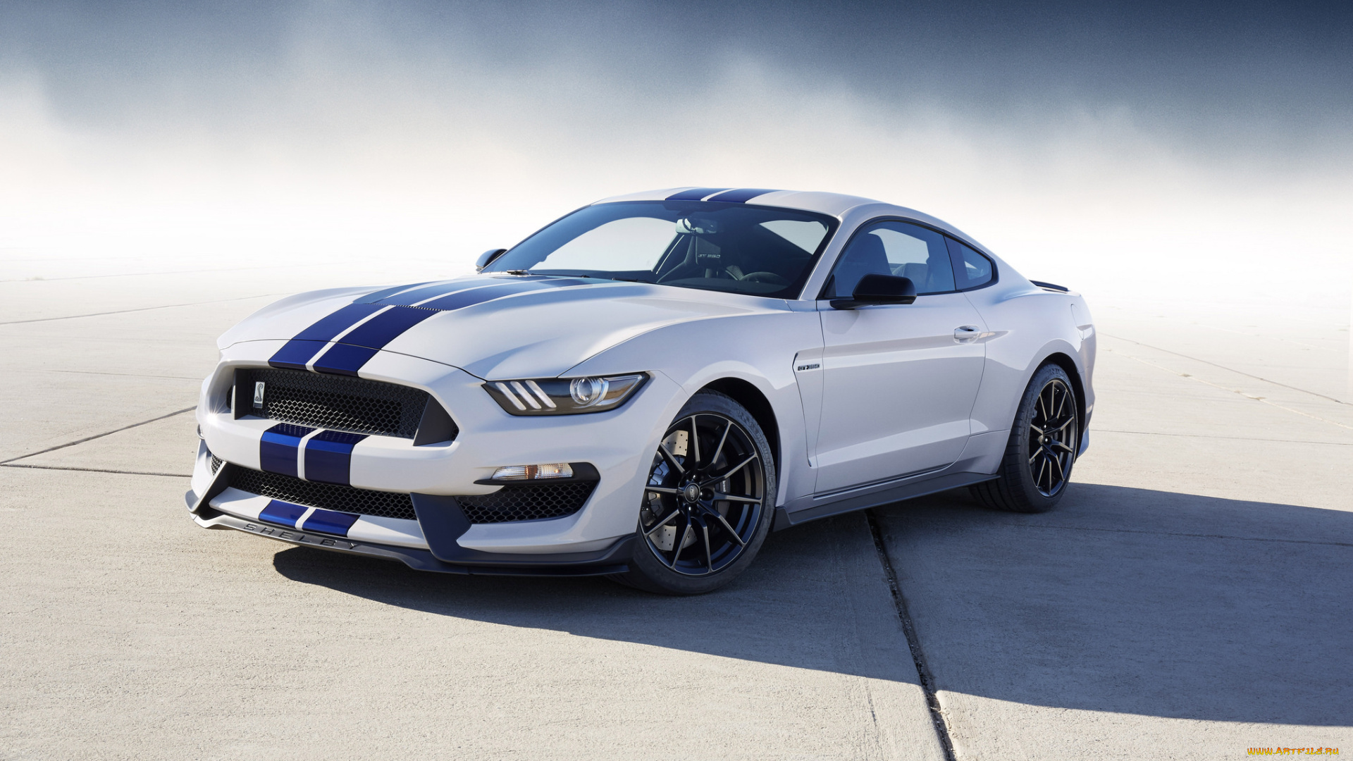 ford, mustang, shelby, gt350, автомобили, mustang, мустанг