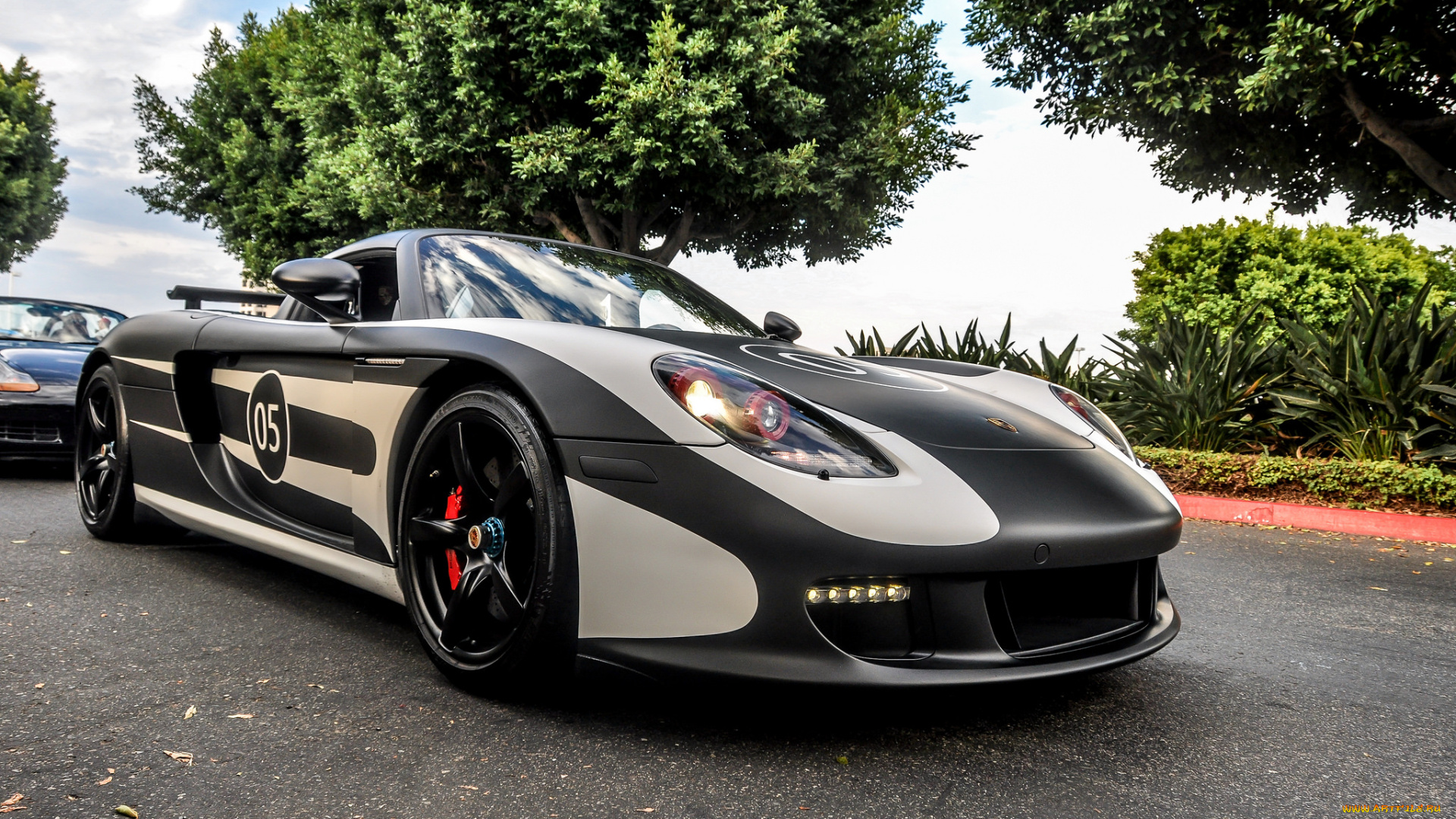 porsche, carrera, gt, автомобили, выставки, и, уличные, фото, спорткар