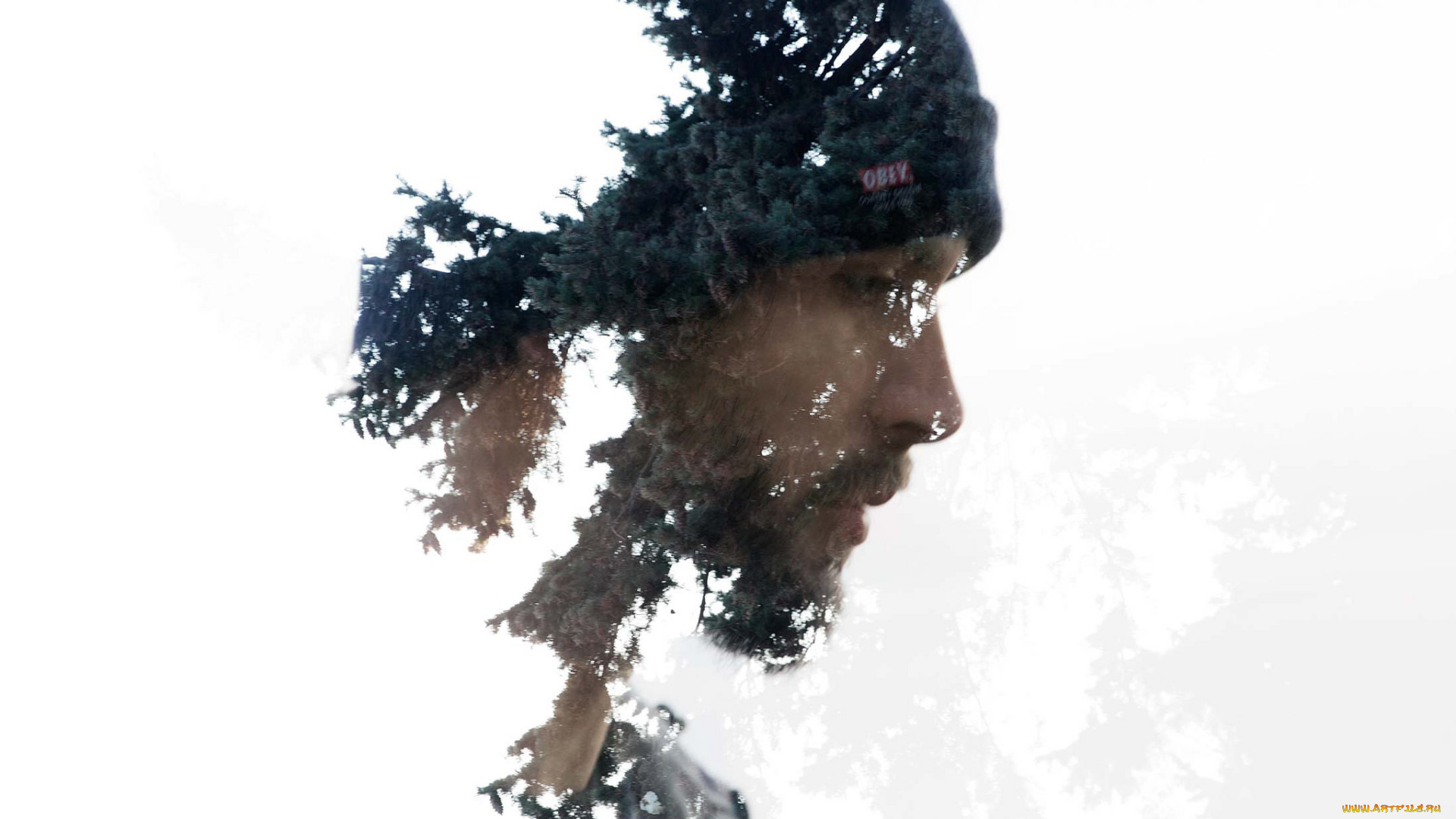 разное, компьютерный, дизайн, парень, белый, фон