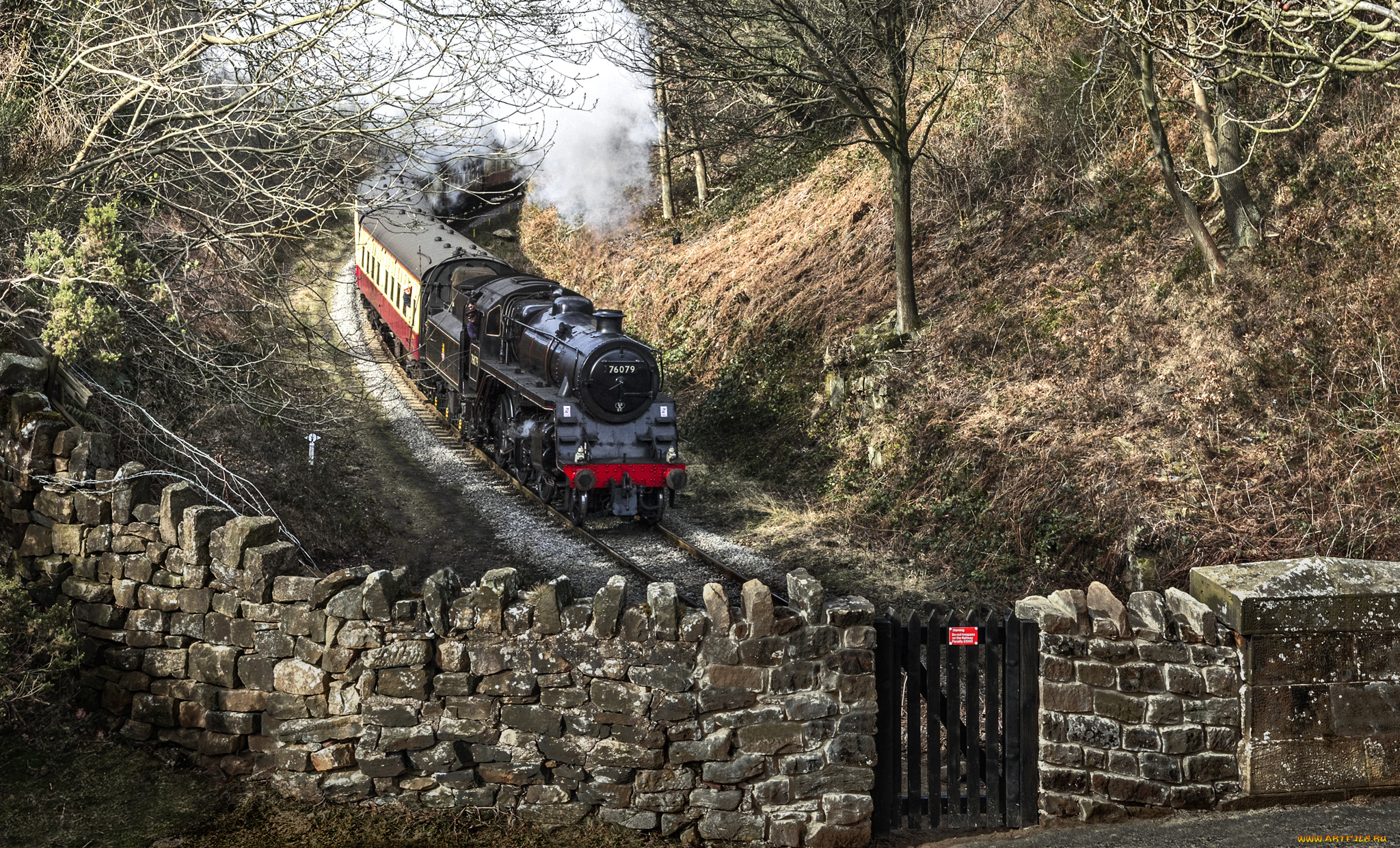 техника, паровозы, дорога, железная, паровоз