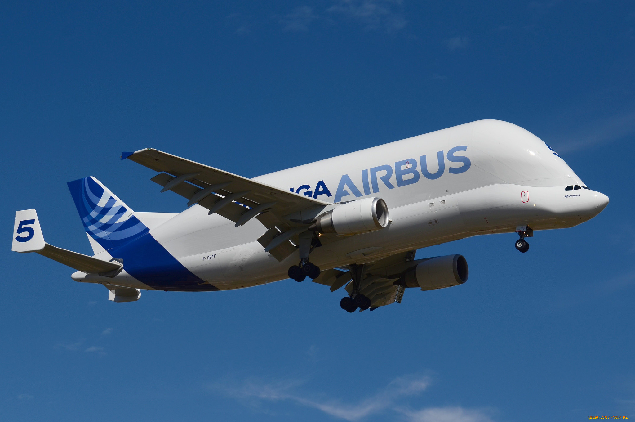 авиация, грузовые, самолёты, белуга