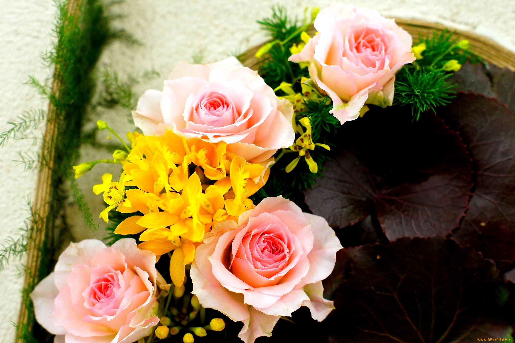 цветы, разные, вместе, розы, орхидеи