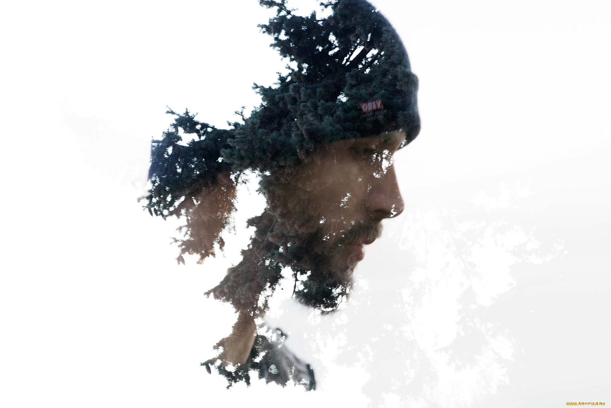 разное, компьютерный, дизайн, парень, белый, фон