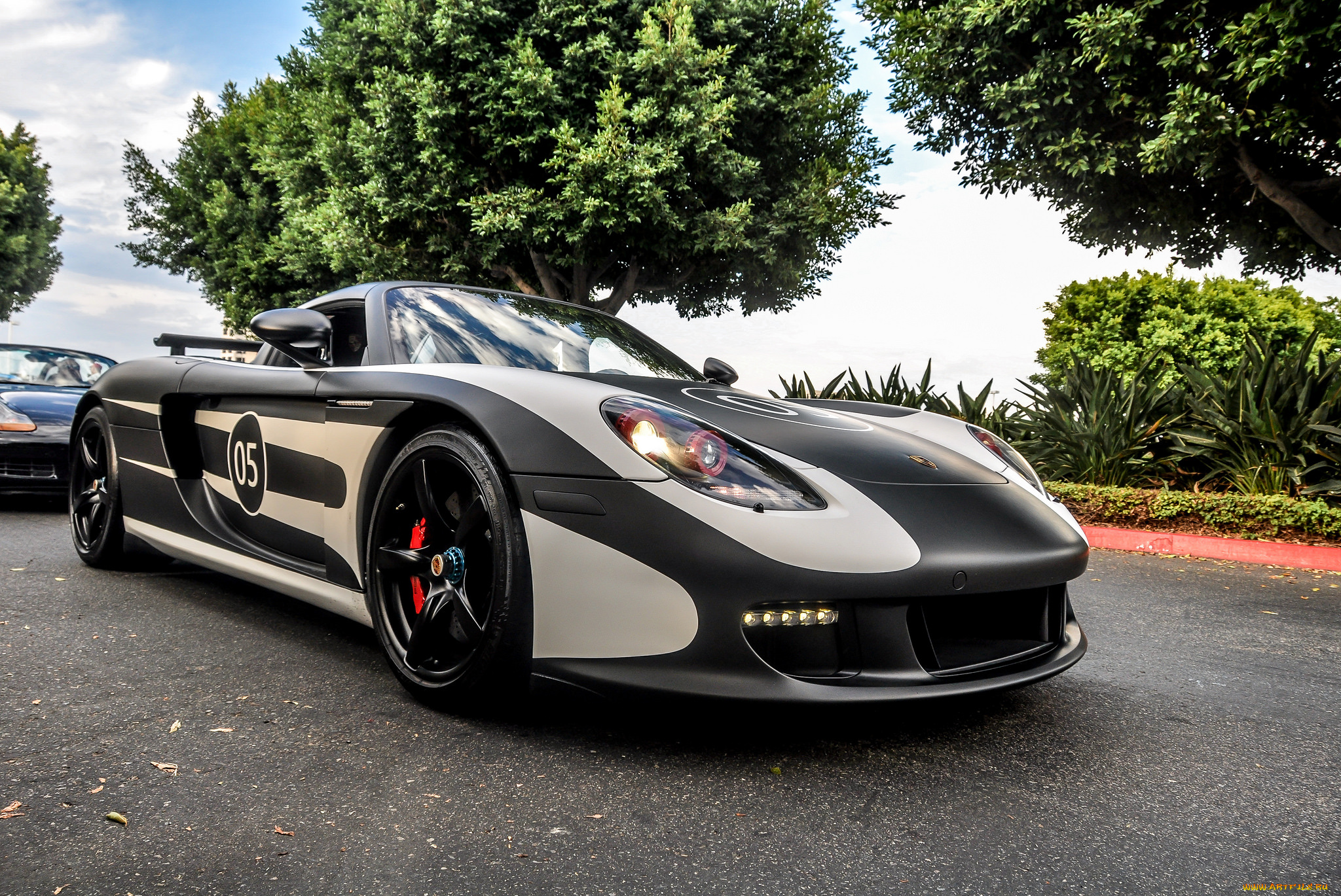 porsche, carrera, gt, автомобили, выставки, и, уличные, фото, спорткар