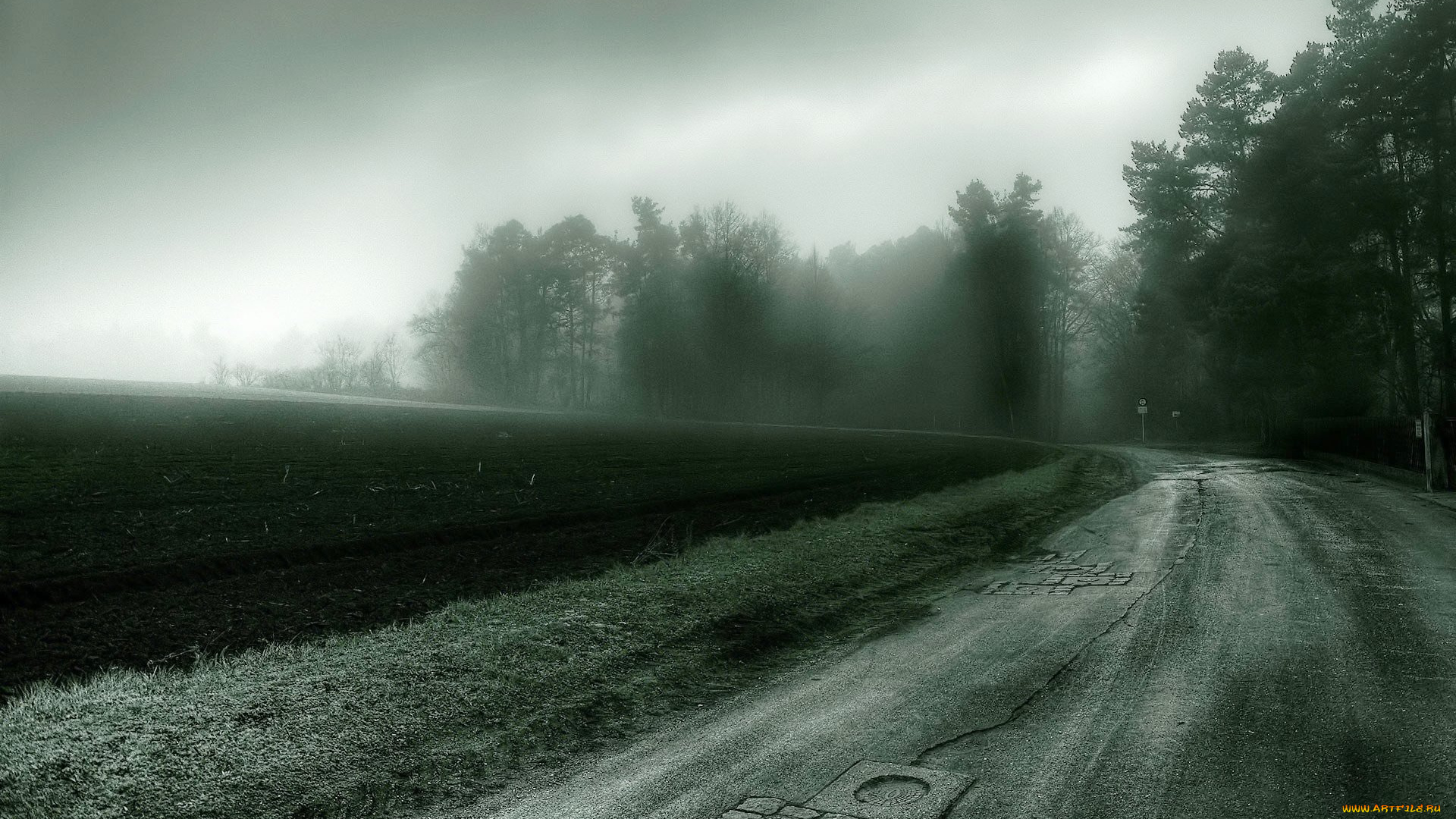 природа, дороги, поле, туман, дорога, поворот, деревья, лес