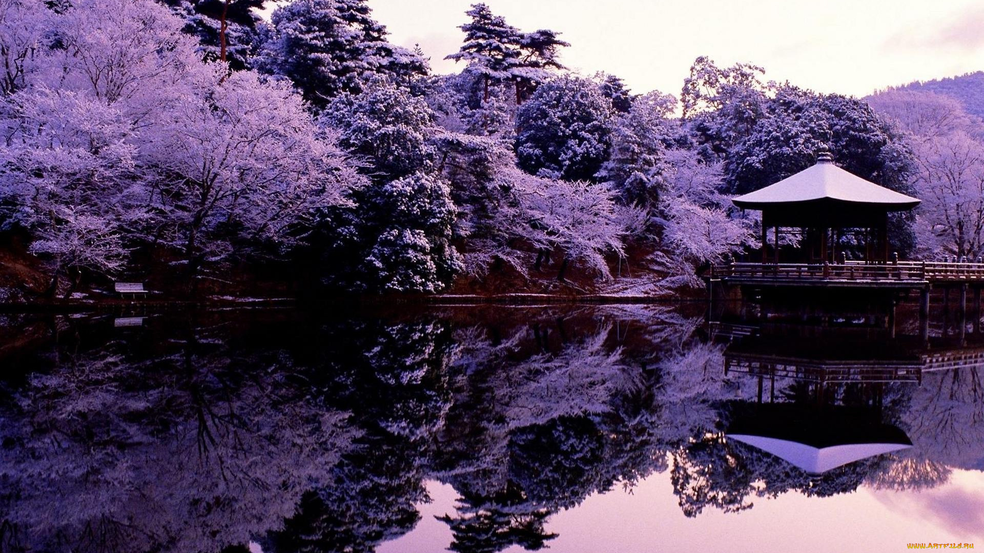 природа, парк, беседка, берег, озеро, деревья, пагода