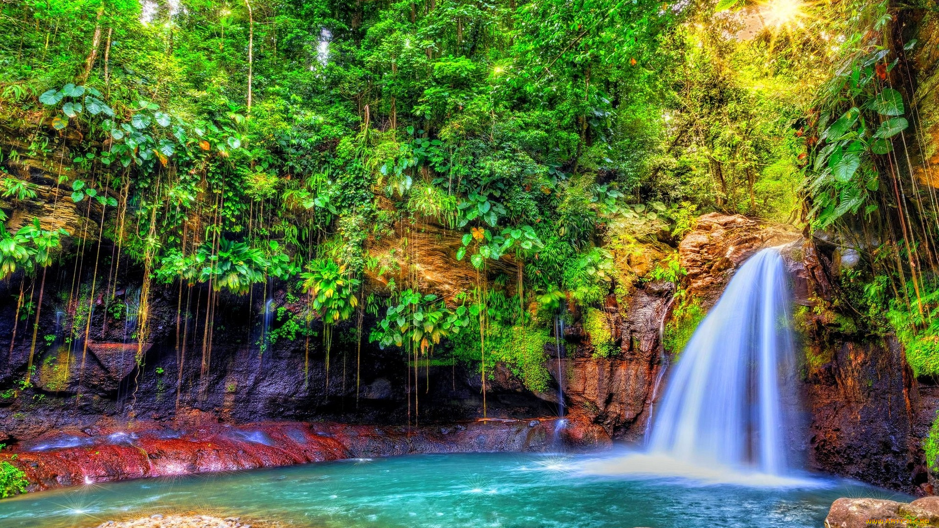 природа, поток, лес