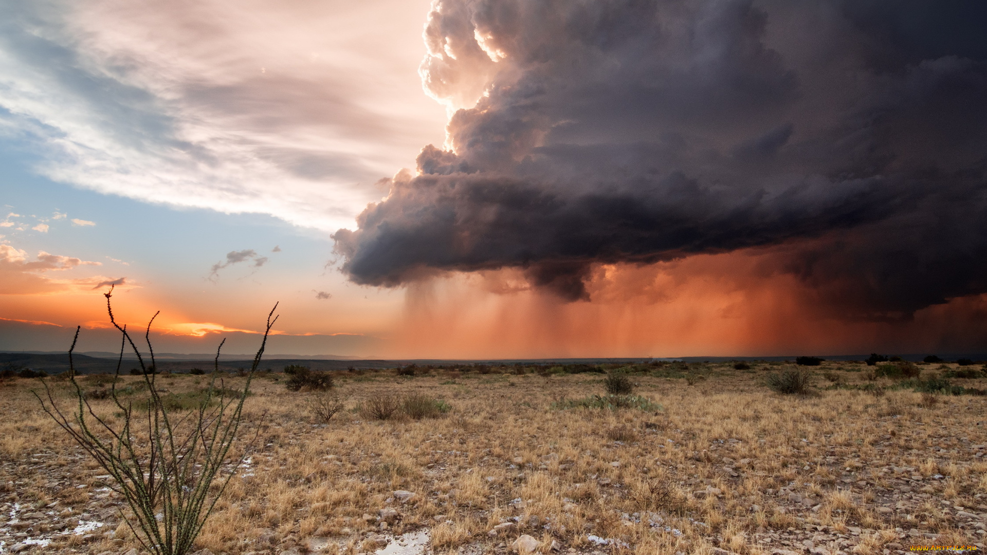 природа, стихия, дождь, тучи, поле