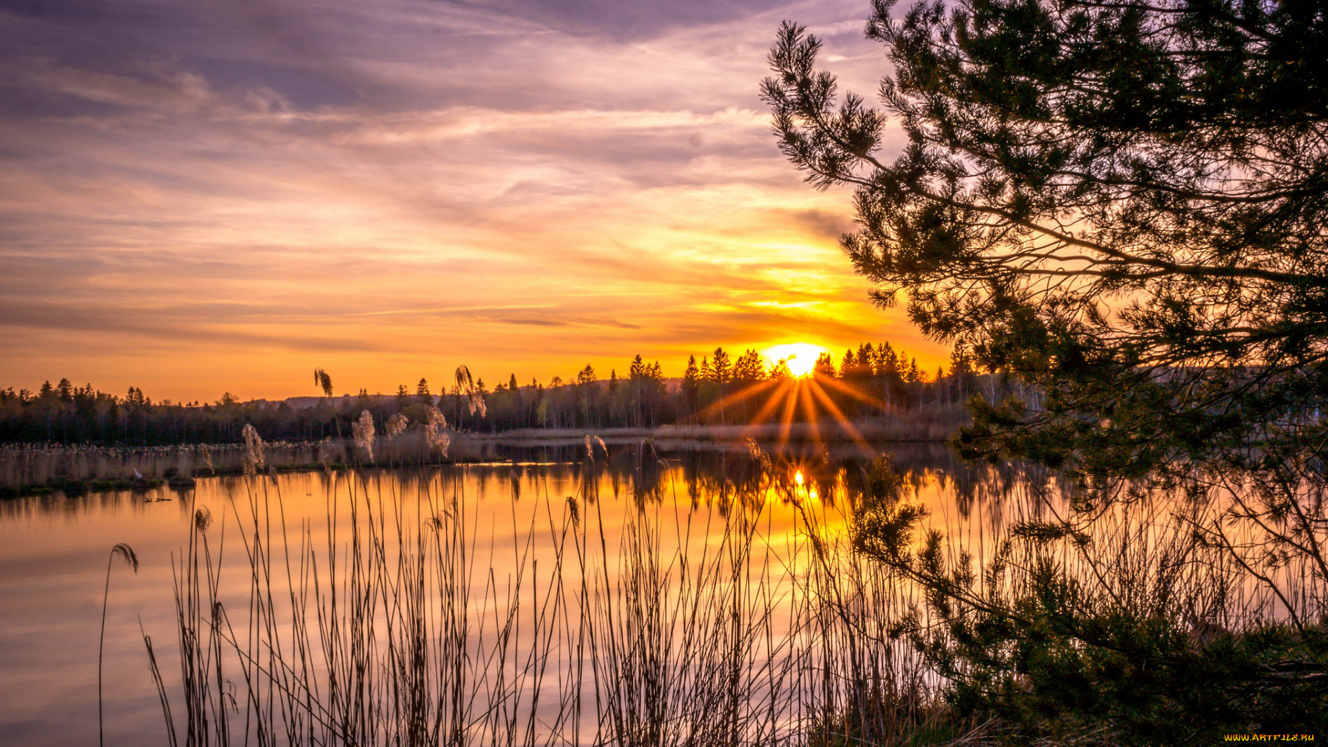 природа, восходы, закаты, рассвет