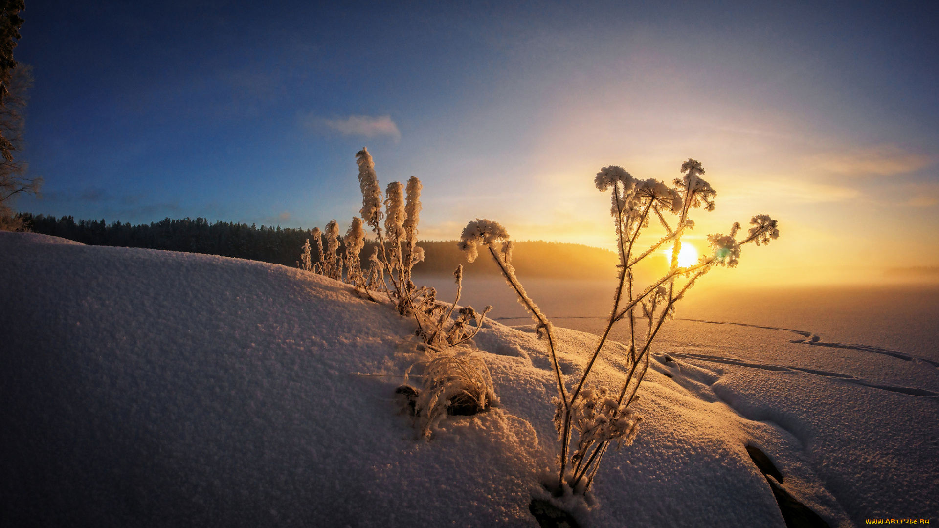 природа, восходы, закаты, рассвет