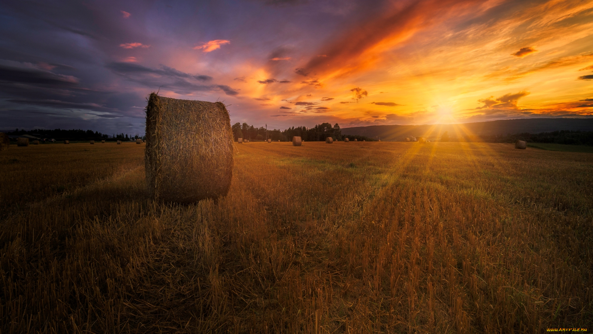 природа, восходы, закаты, сено, поле, закат, лето