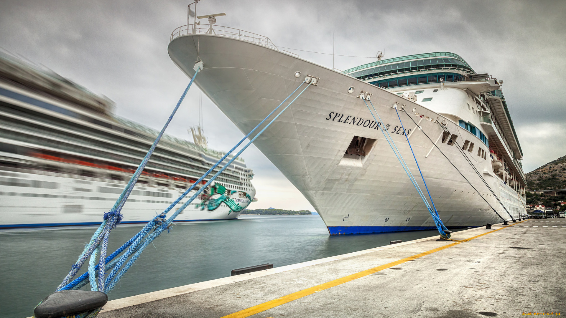 splendour, of, the, seas, корабли, лайнеры, лайнер, круиз