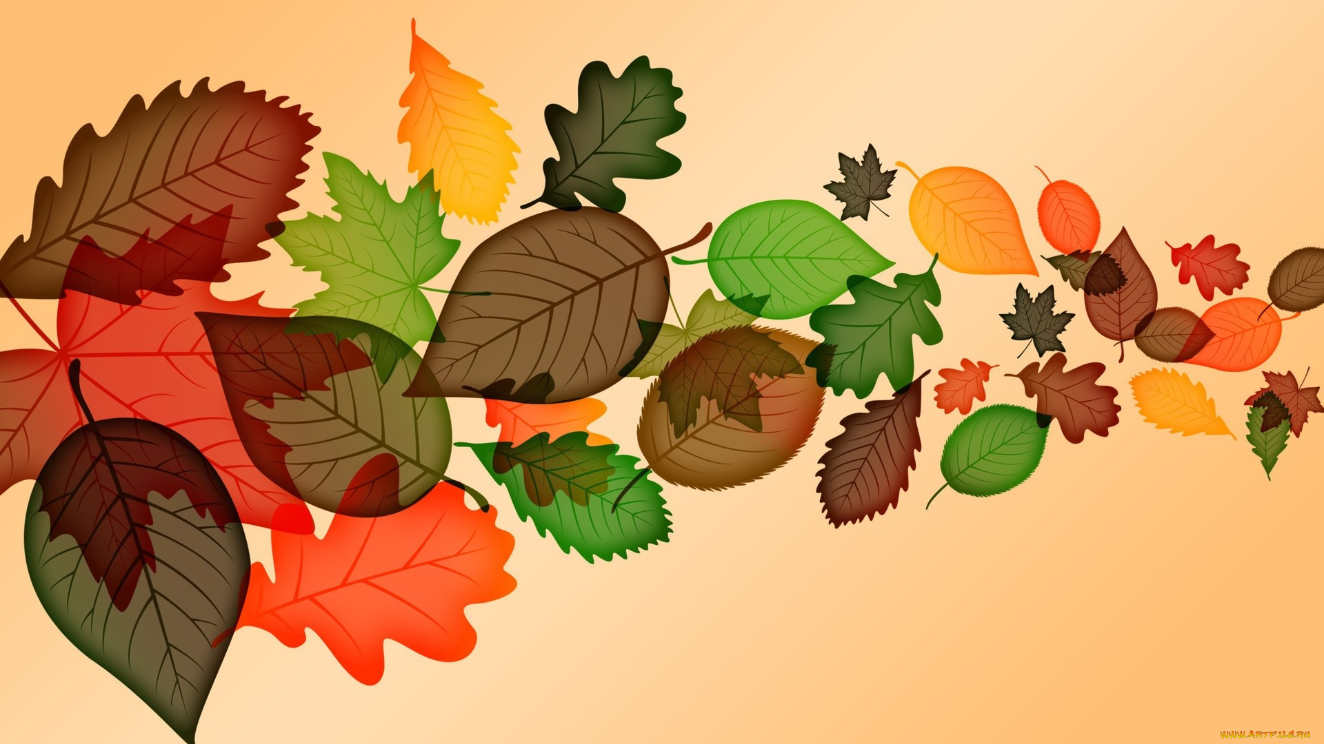 векторная, графика, природа, , nature, листья, осень, фон