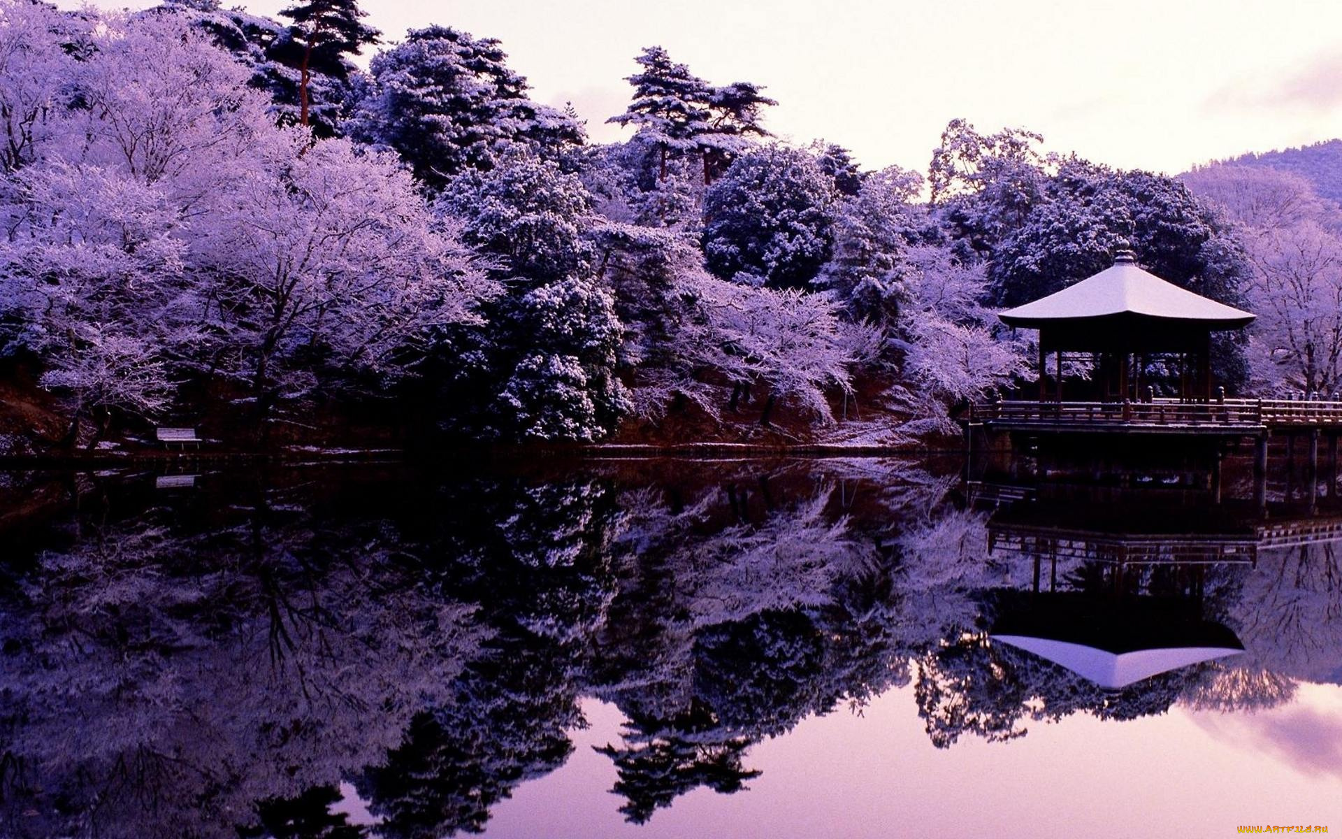 природа, парк, беседка, берег, озеро, деревья, пагода