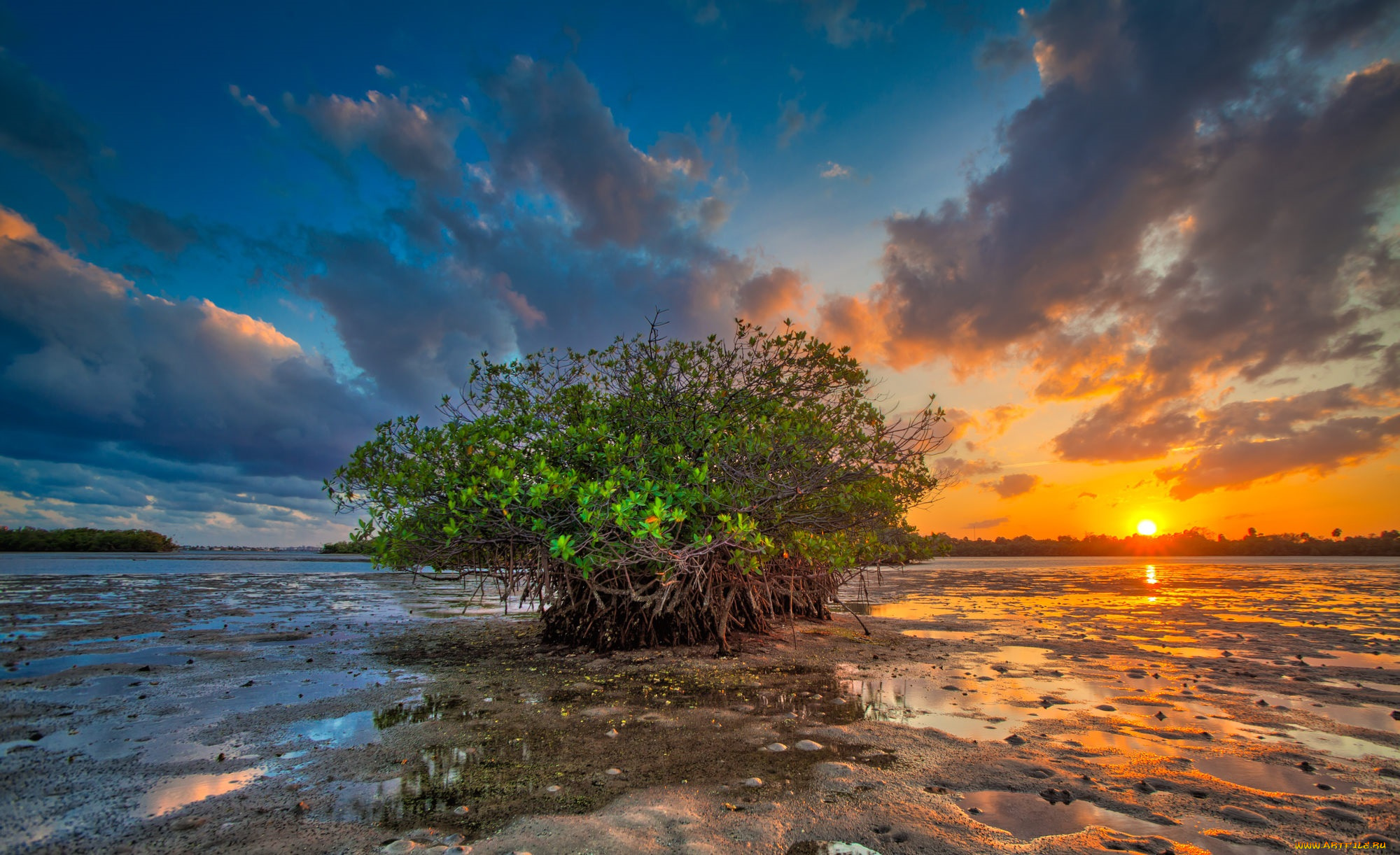 природа, восходы, закаты, рассвет