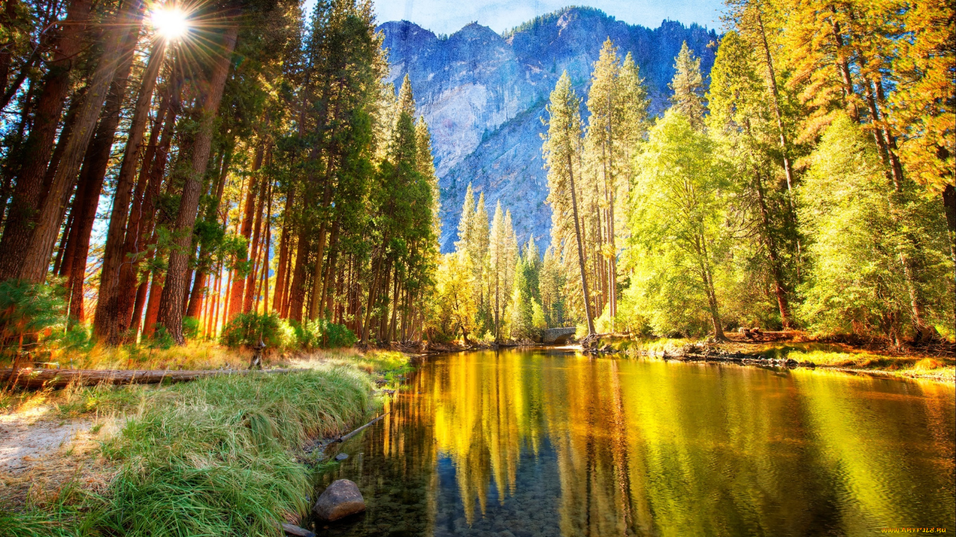 природа, реки, озера, лето, сосны, лучи, солнца, горы, река, трава