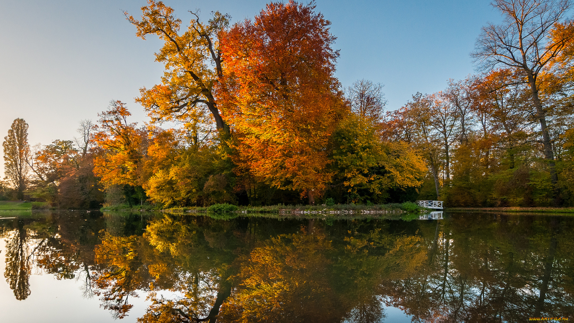 природа, реки, озера, река, лес