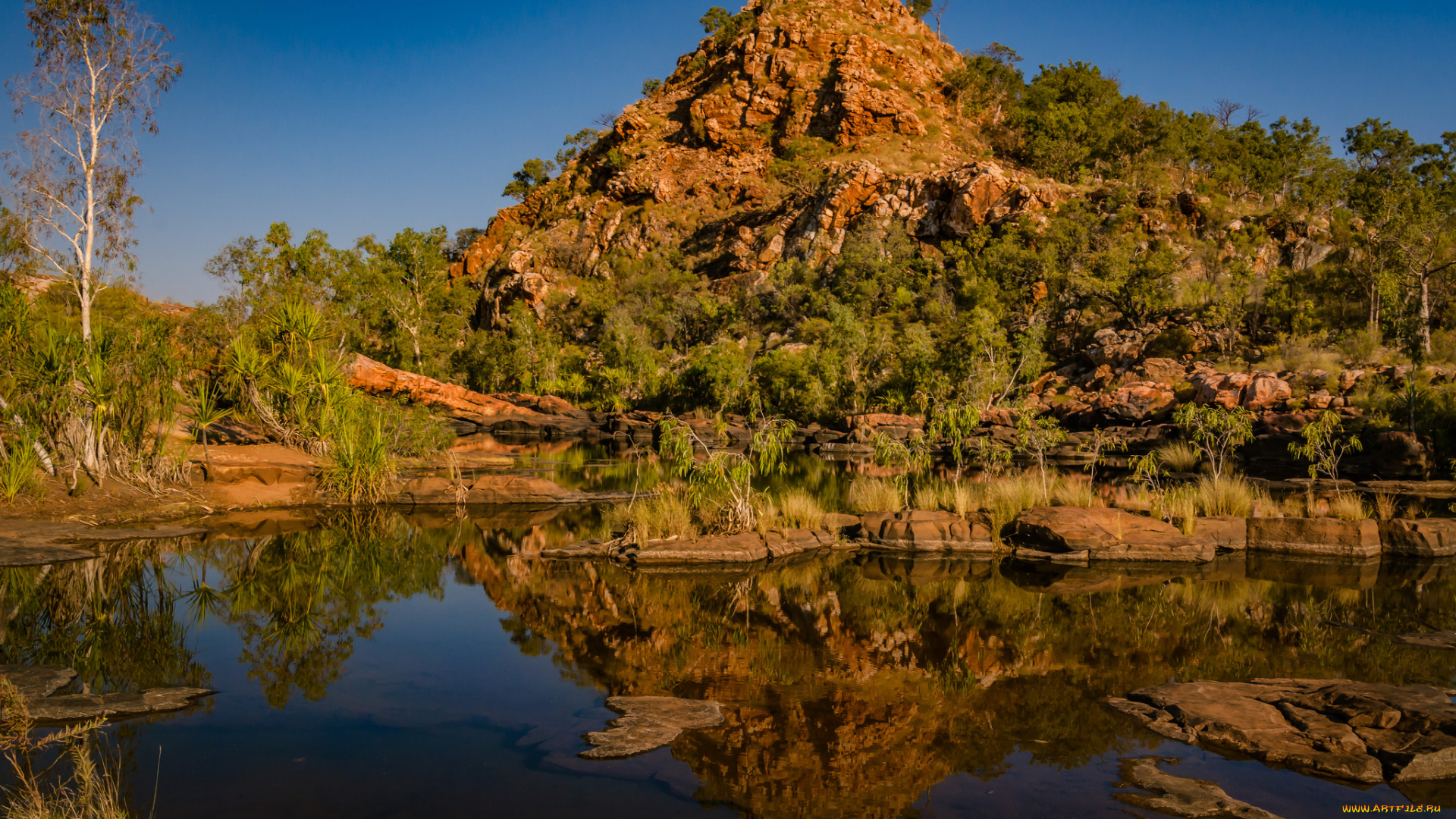 природа, реки, озера, река, лес