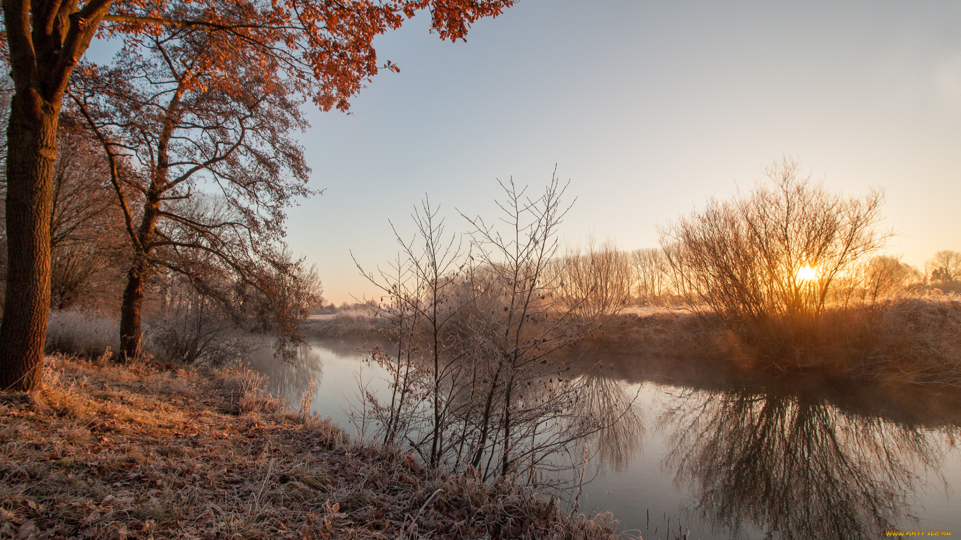 природа, реки, озера, река, лес