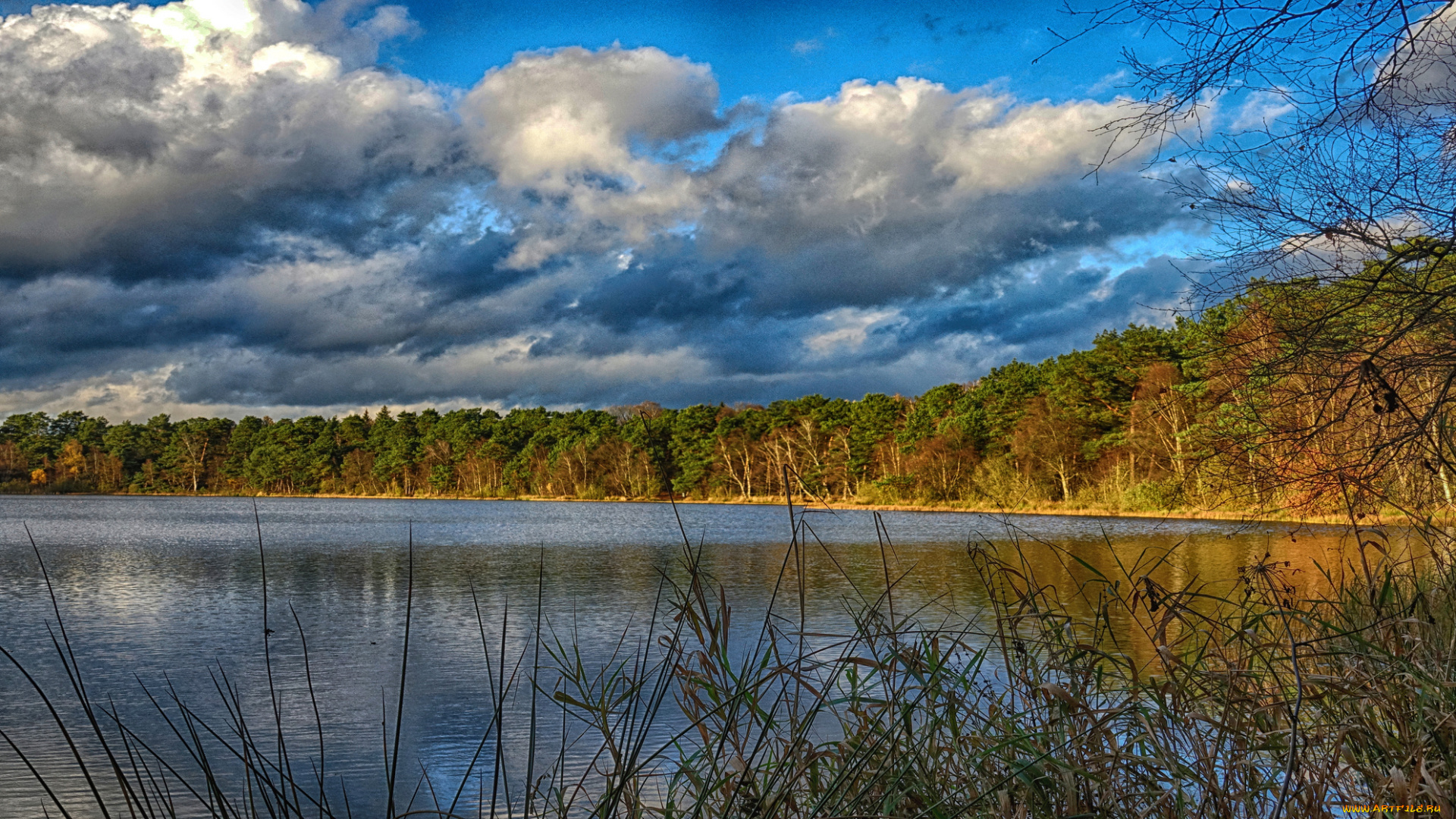 природа, реки, озера, река, лес
