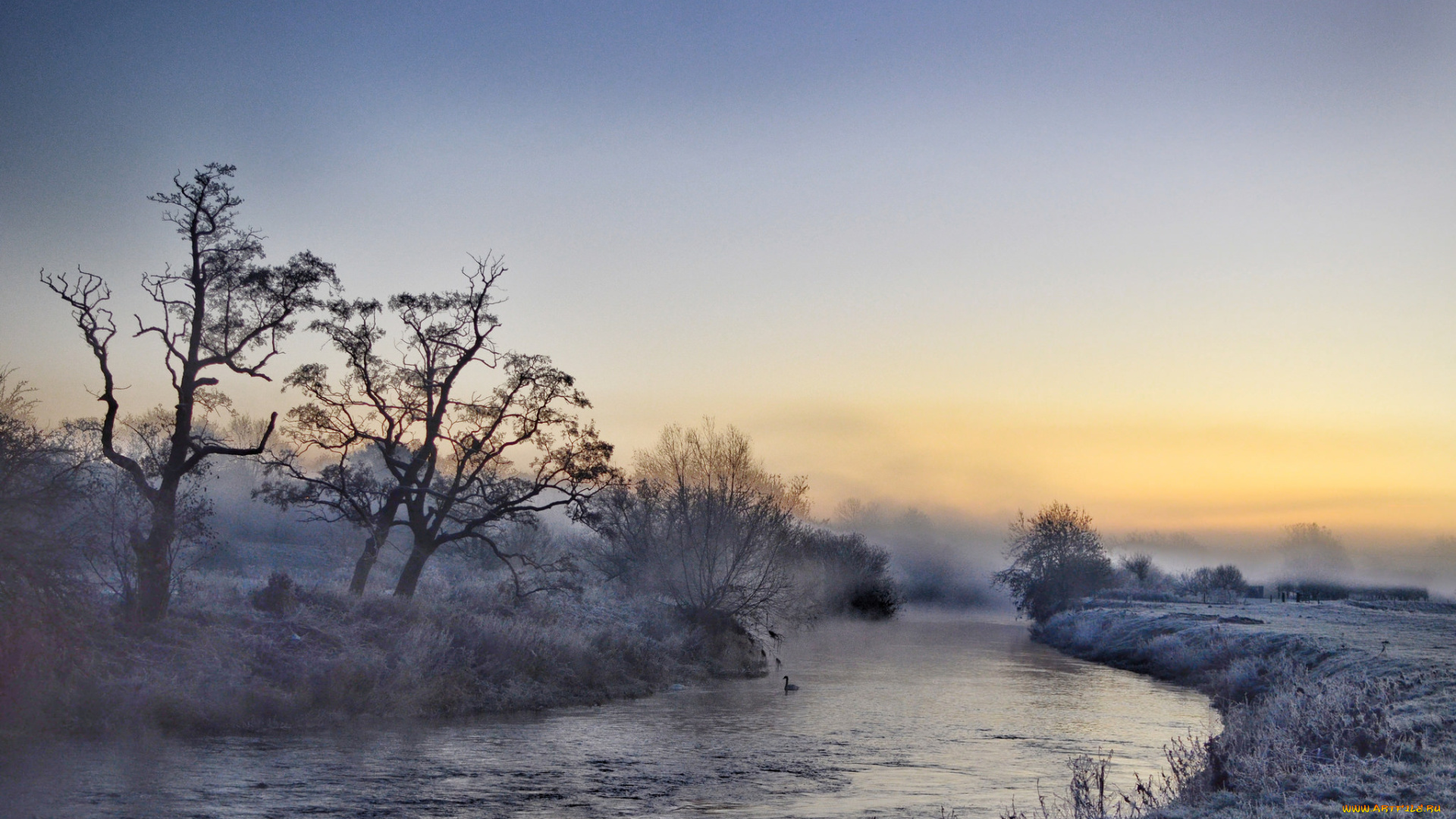 природа, реки, озера, река, лес