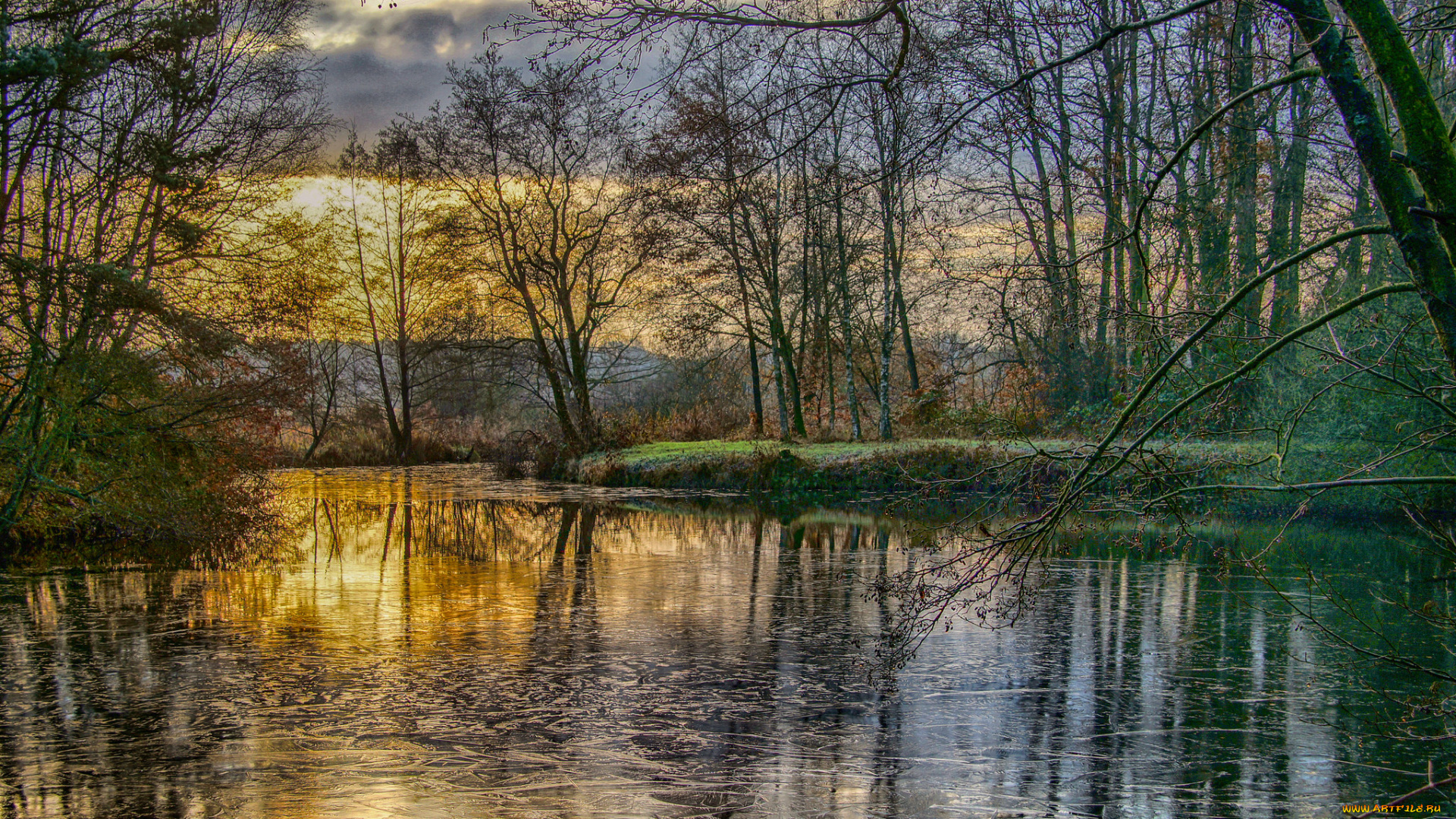 природа, реки, озера, река, лес