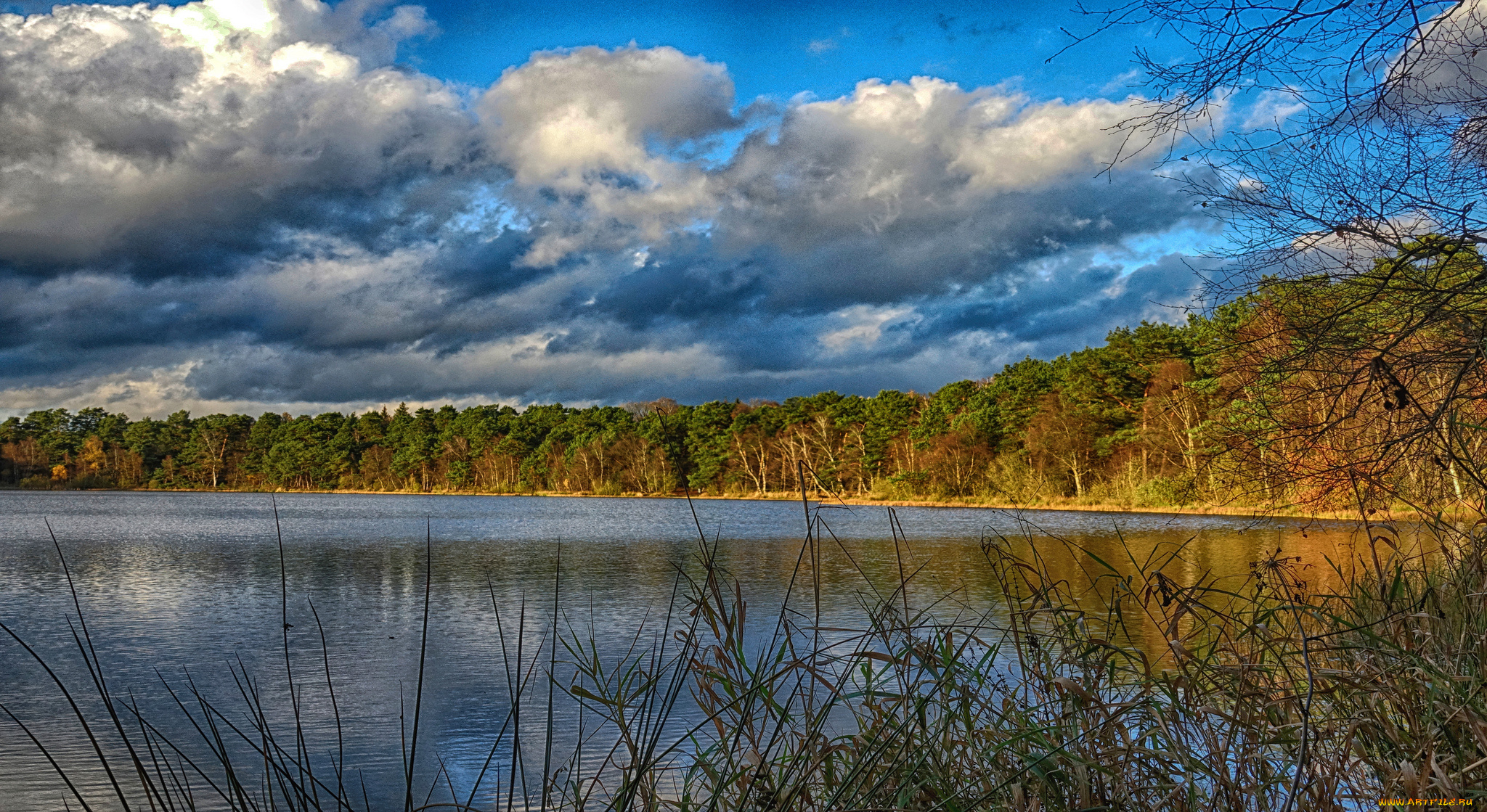 природа, реки, озера, река, лес