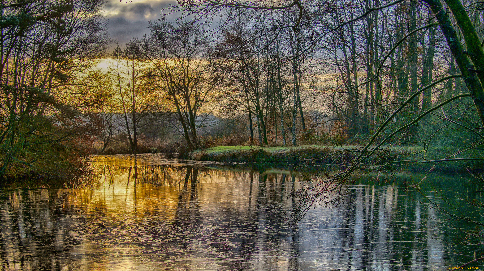 природа, реки, озера, река, лес