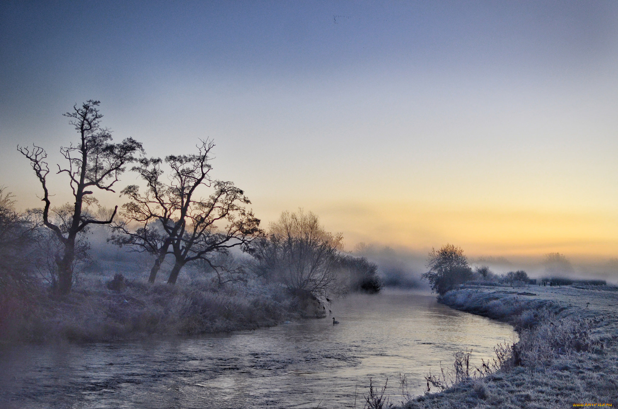 природа, реки, озера, река, лес