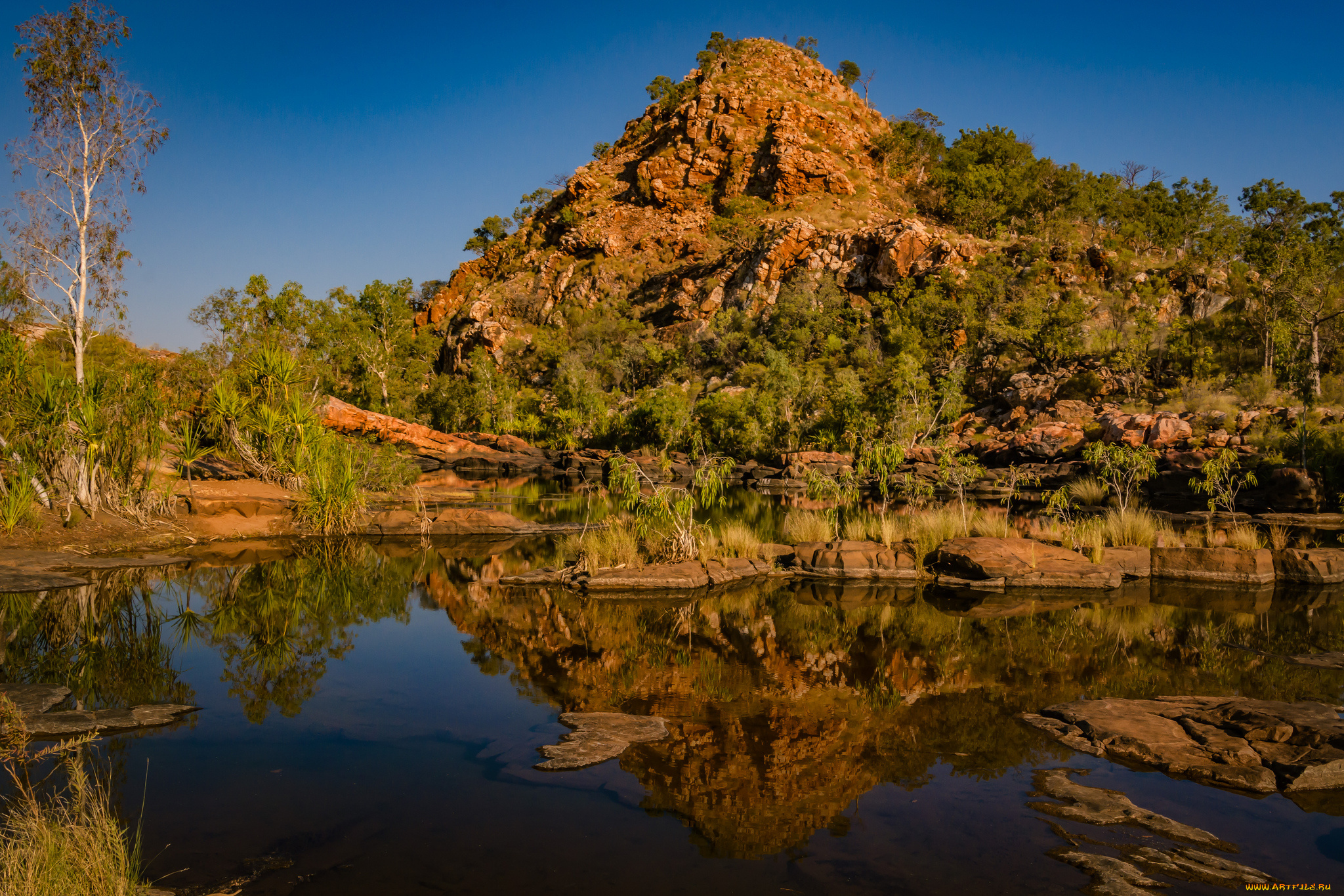 природа, реки, озера, река, лес
