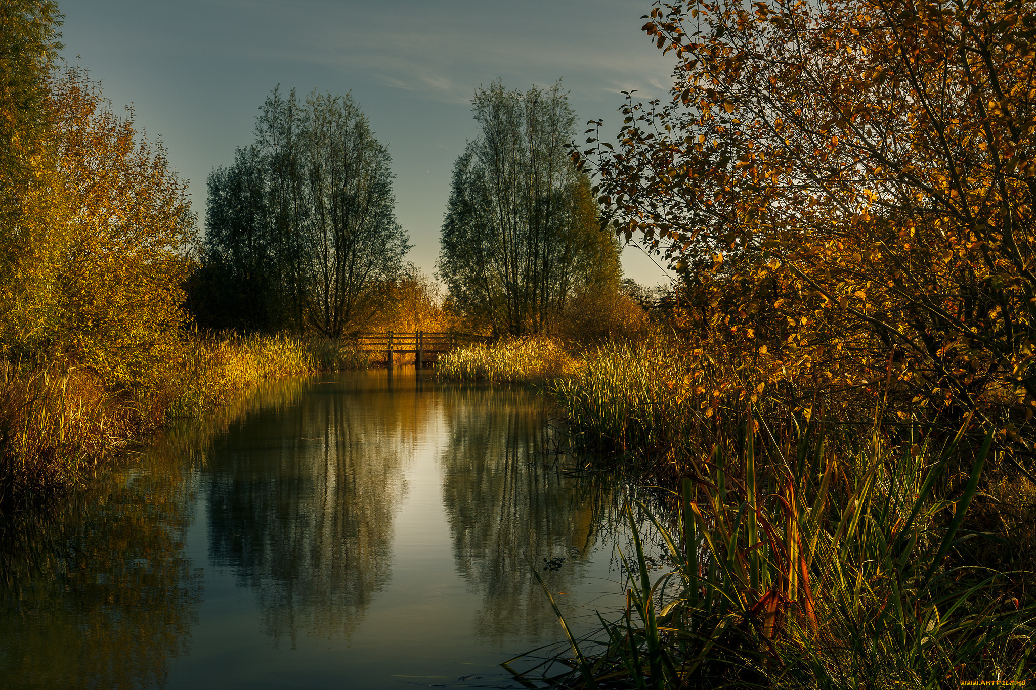 природа, реки, озера, река, лес